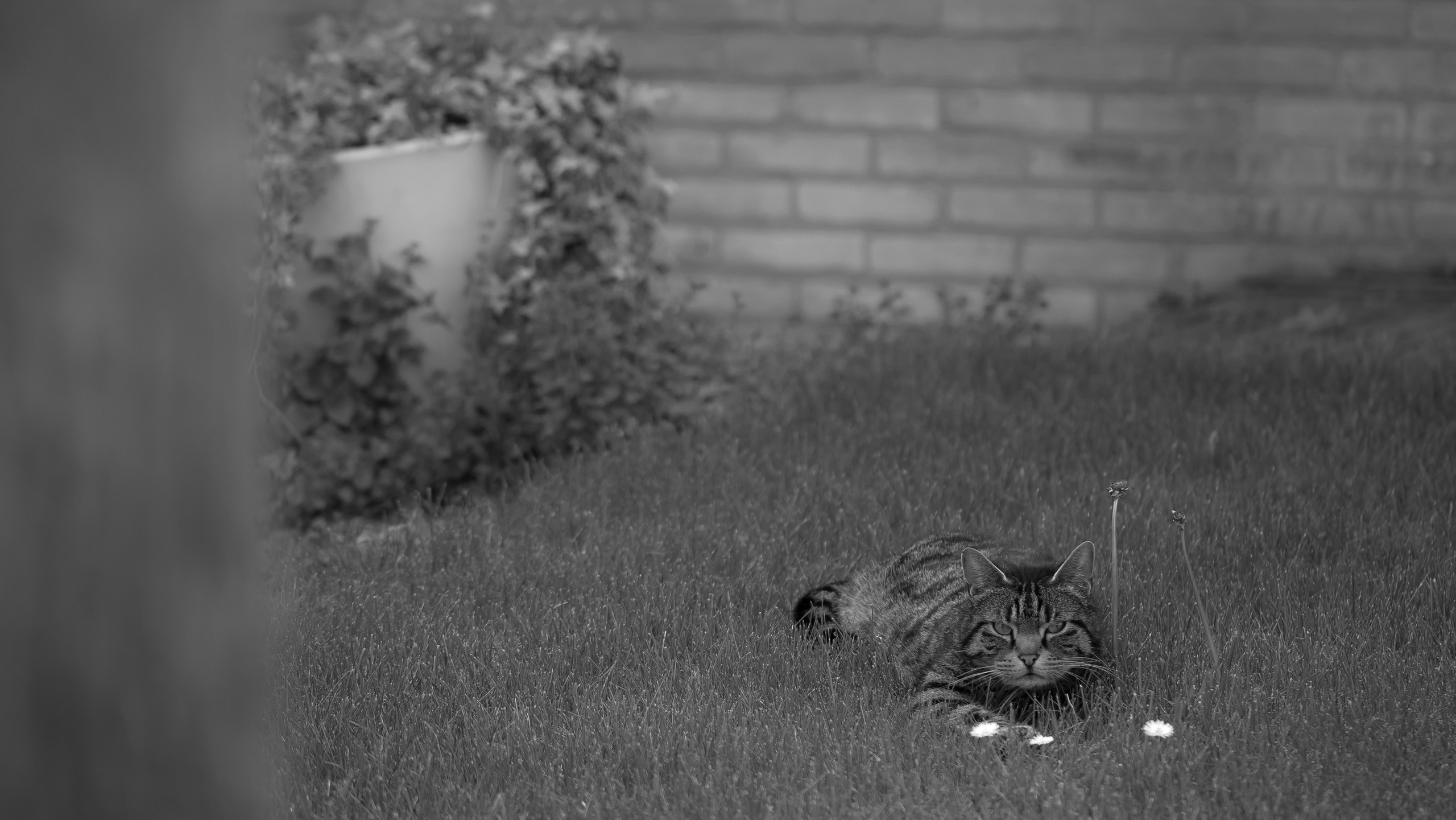 Around the World. Photographer and Videographer | Chisinau, Moldova