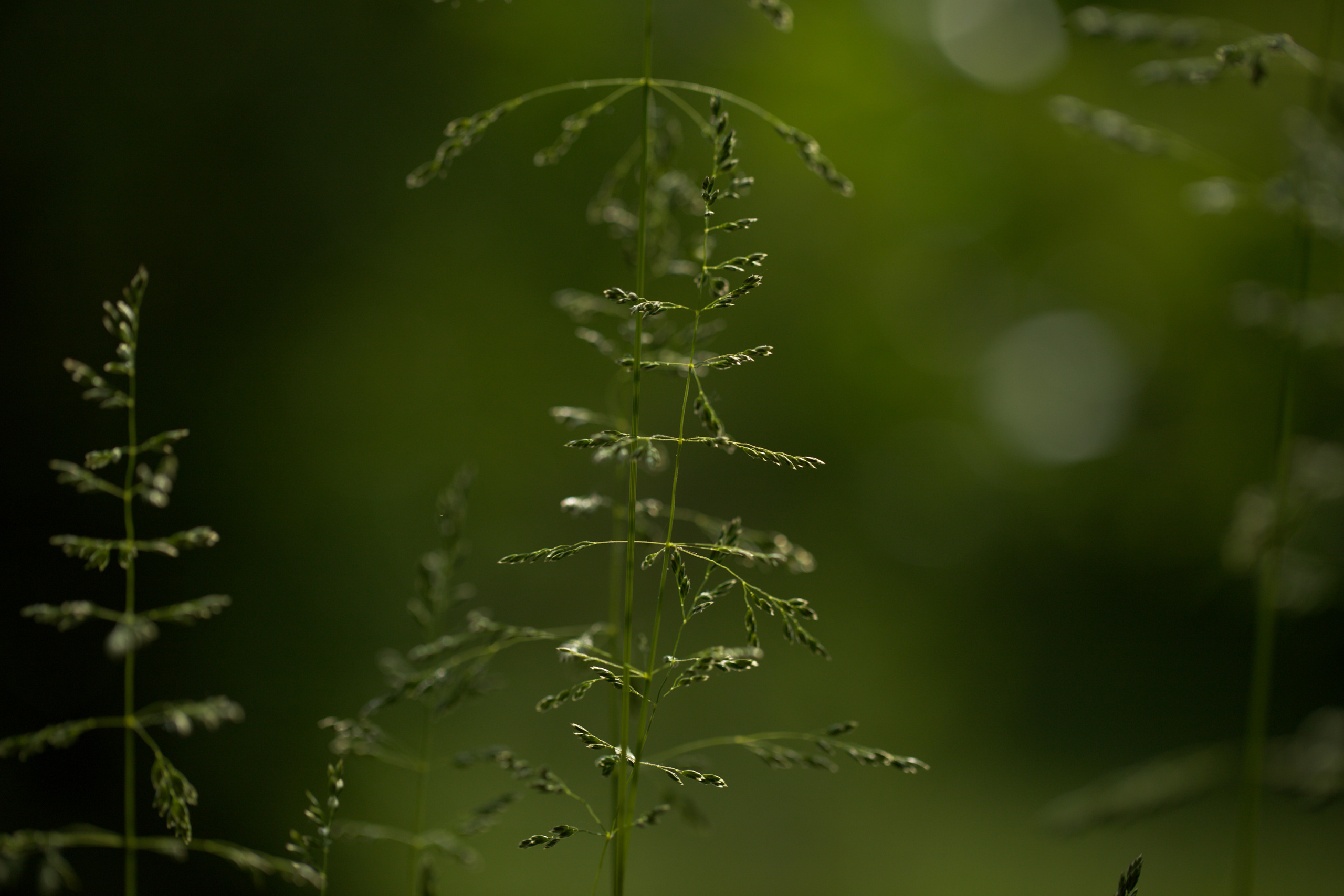 Around the World. Photographer and Videographer | Chisinau, Moldova