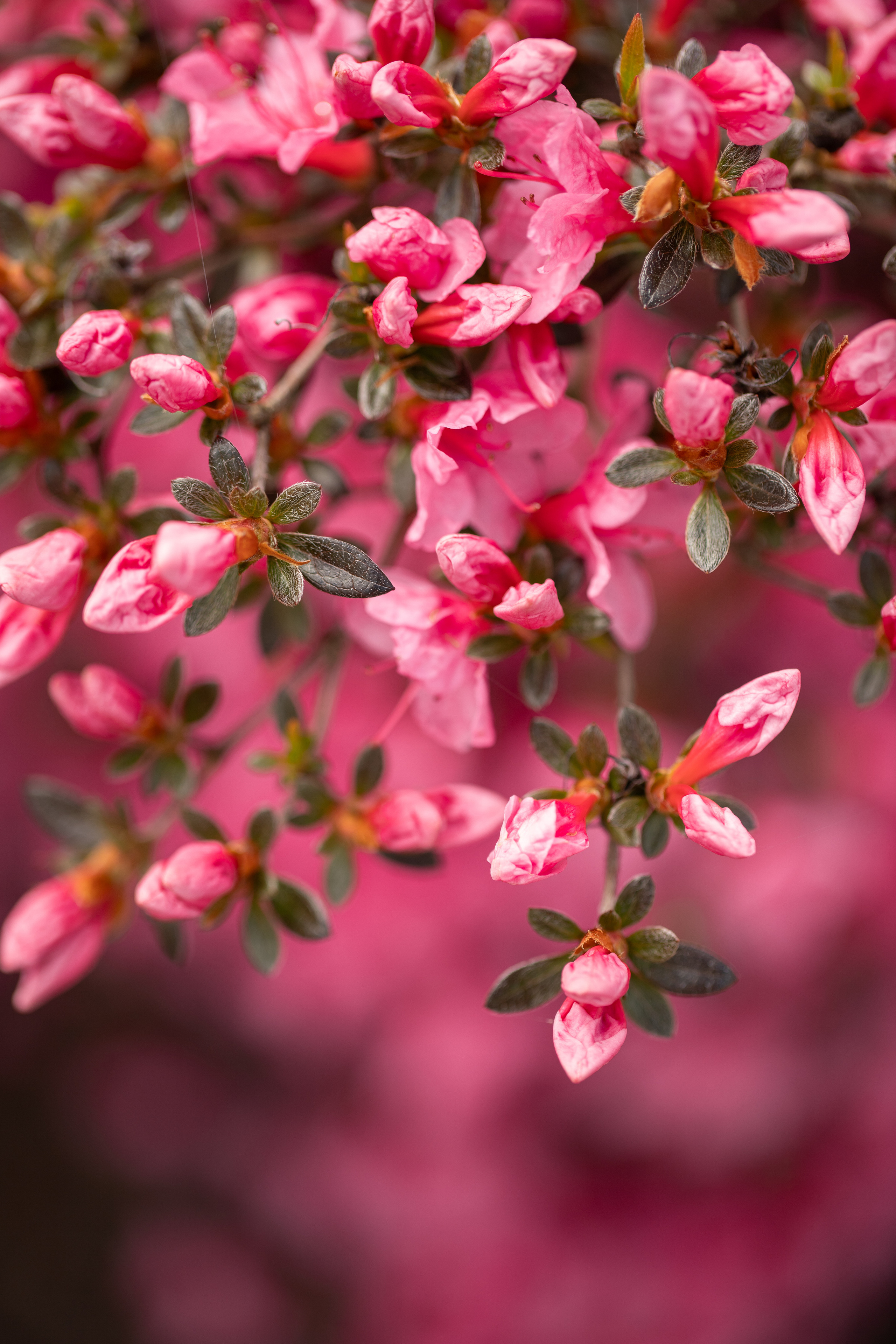 Around the World. Photographer and Videographer | Chisinau, Moldova