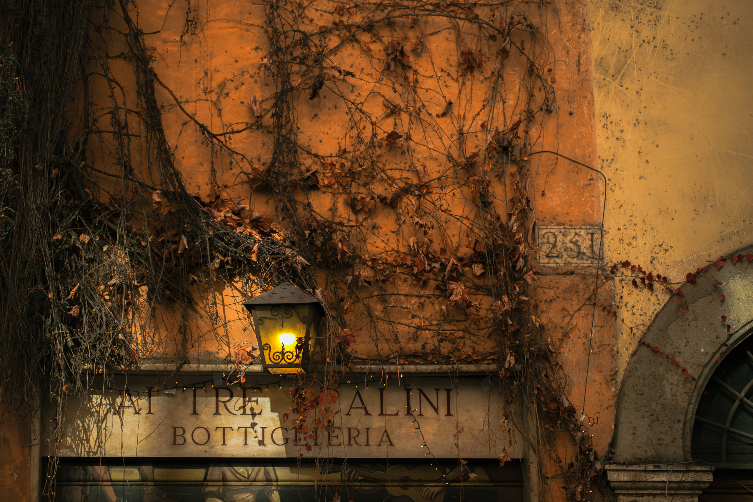 Around the World. Photographer and Videographer | Chisinau, Moldova