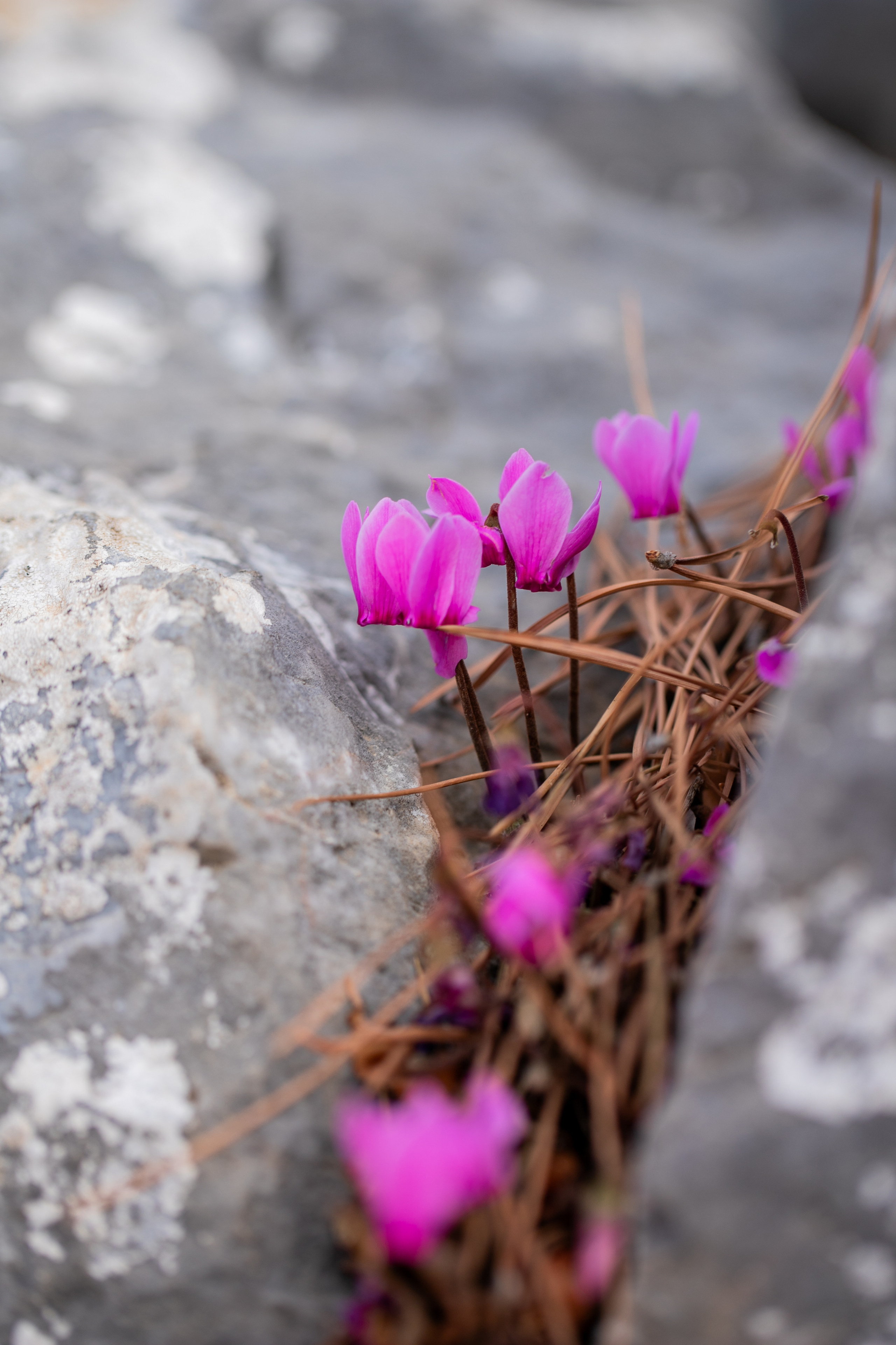 Around the World. Photographer and Videographer | Chisinau, Moldova