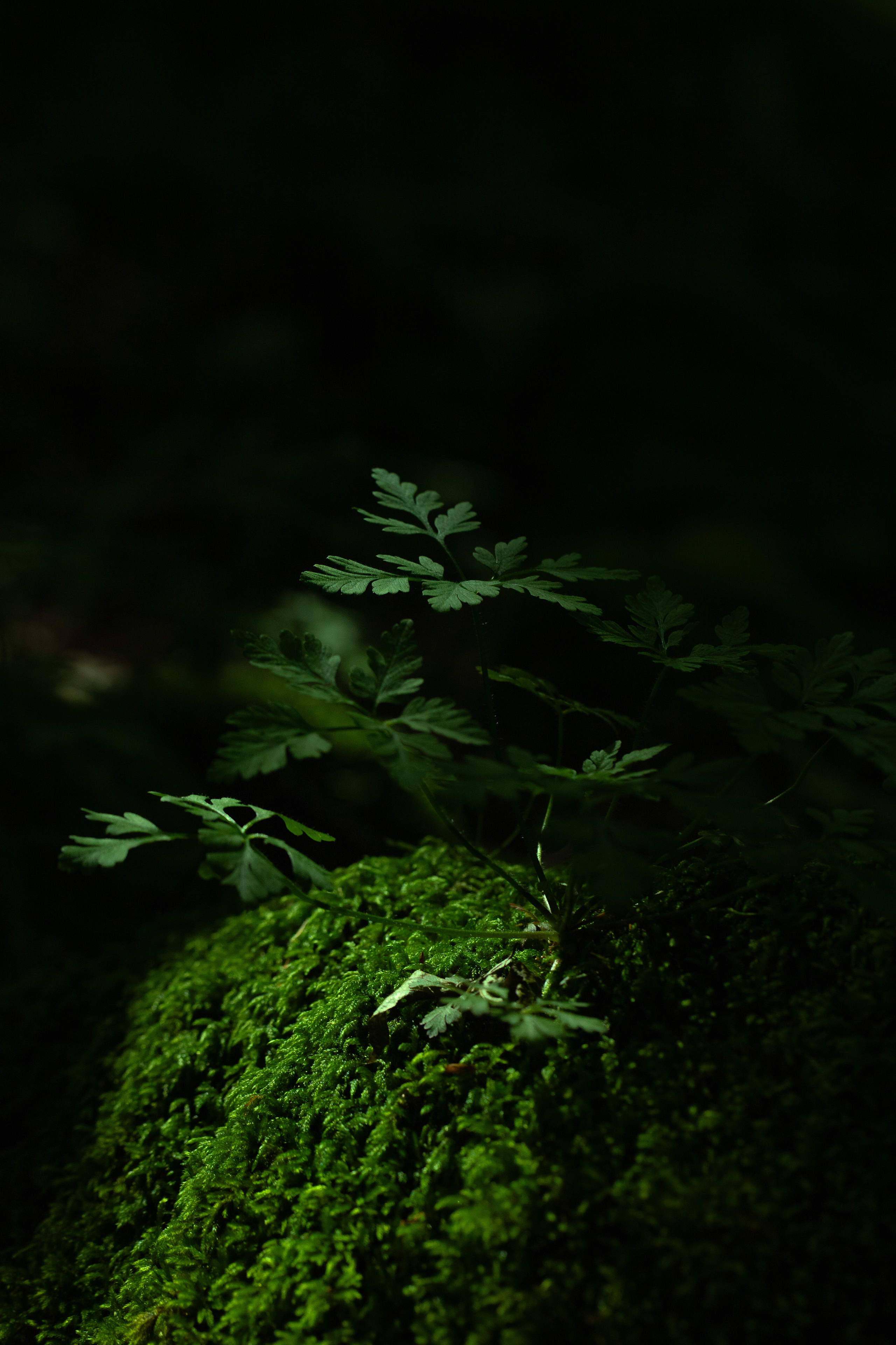 Around the World. Photographer and Videographer | Chisinau, Moldova