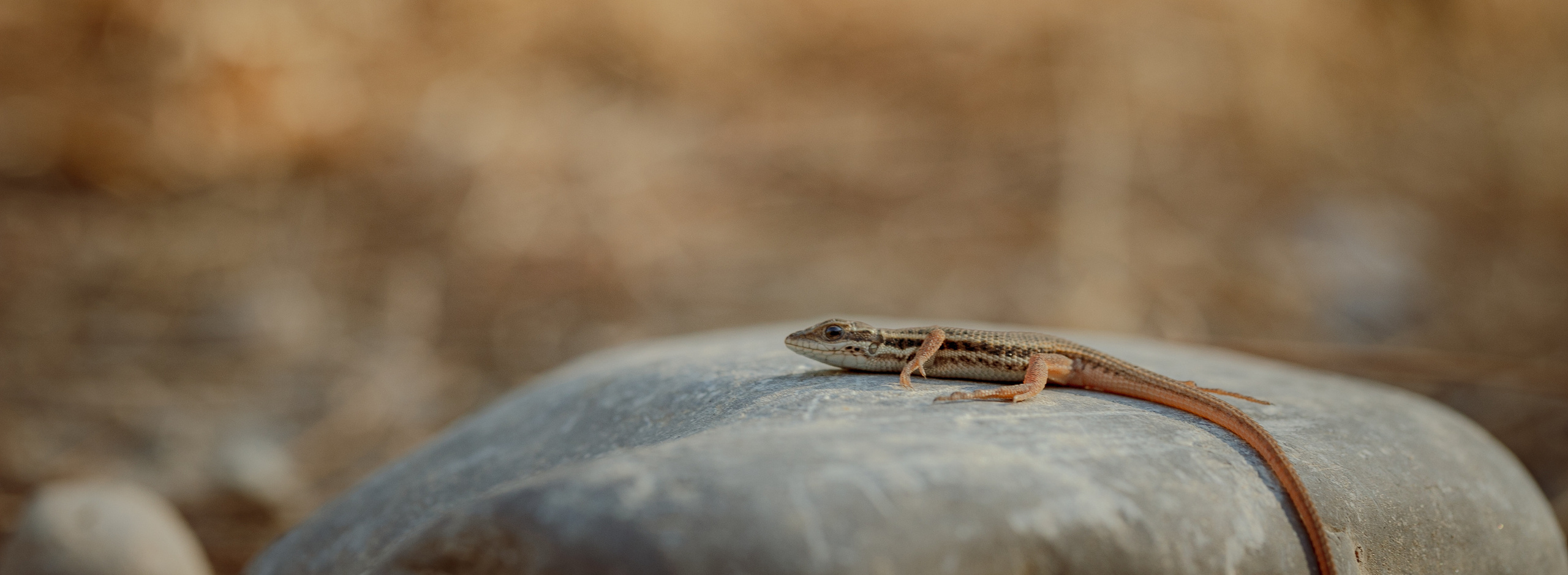 Around the World. Photographer and Videographer | Chisinau, Moldova