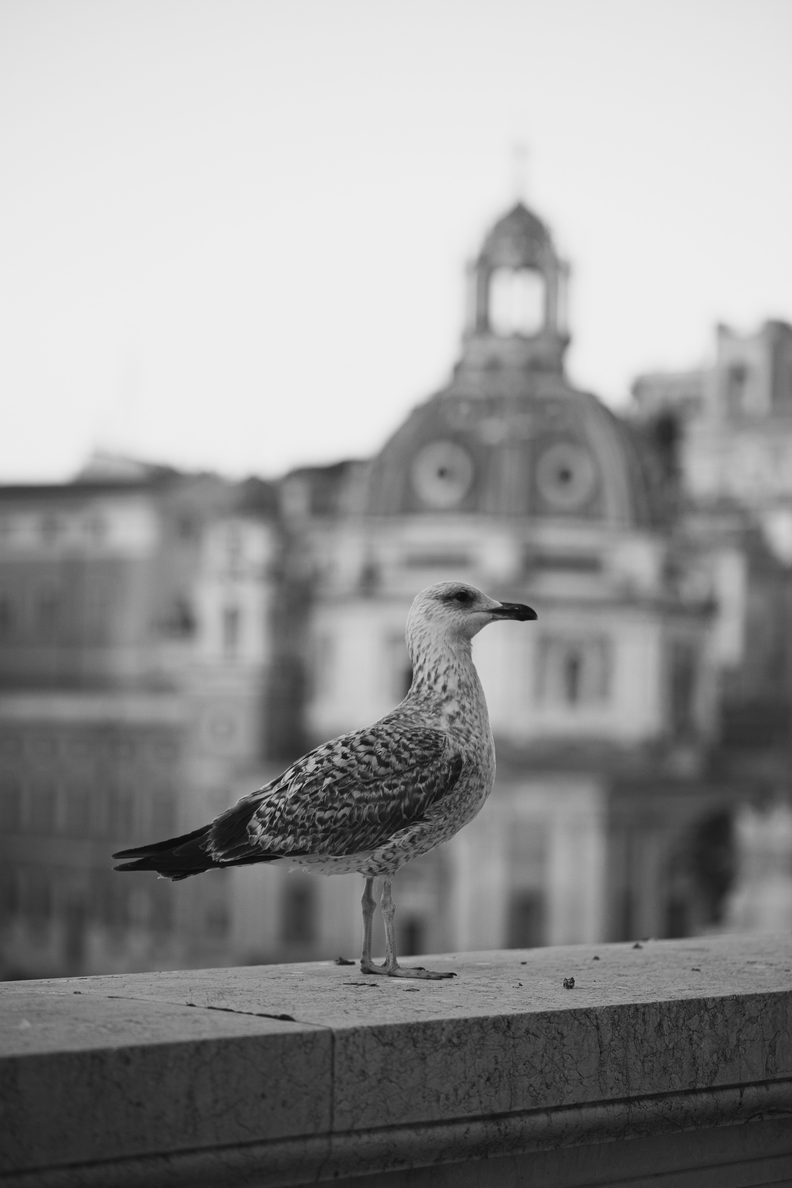 Around the World. Photographer and Videographer | Chisinau, Moldova