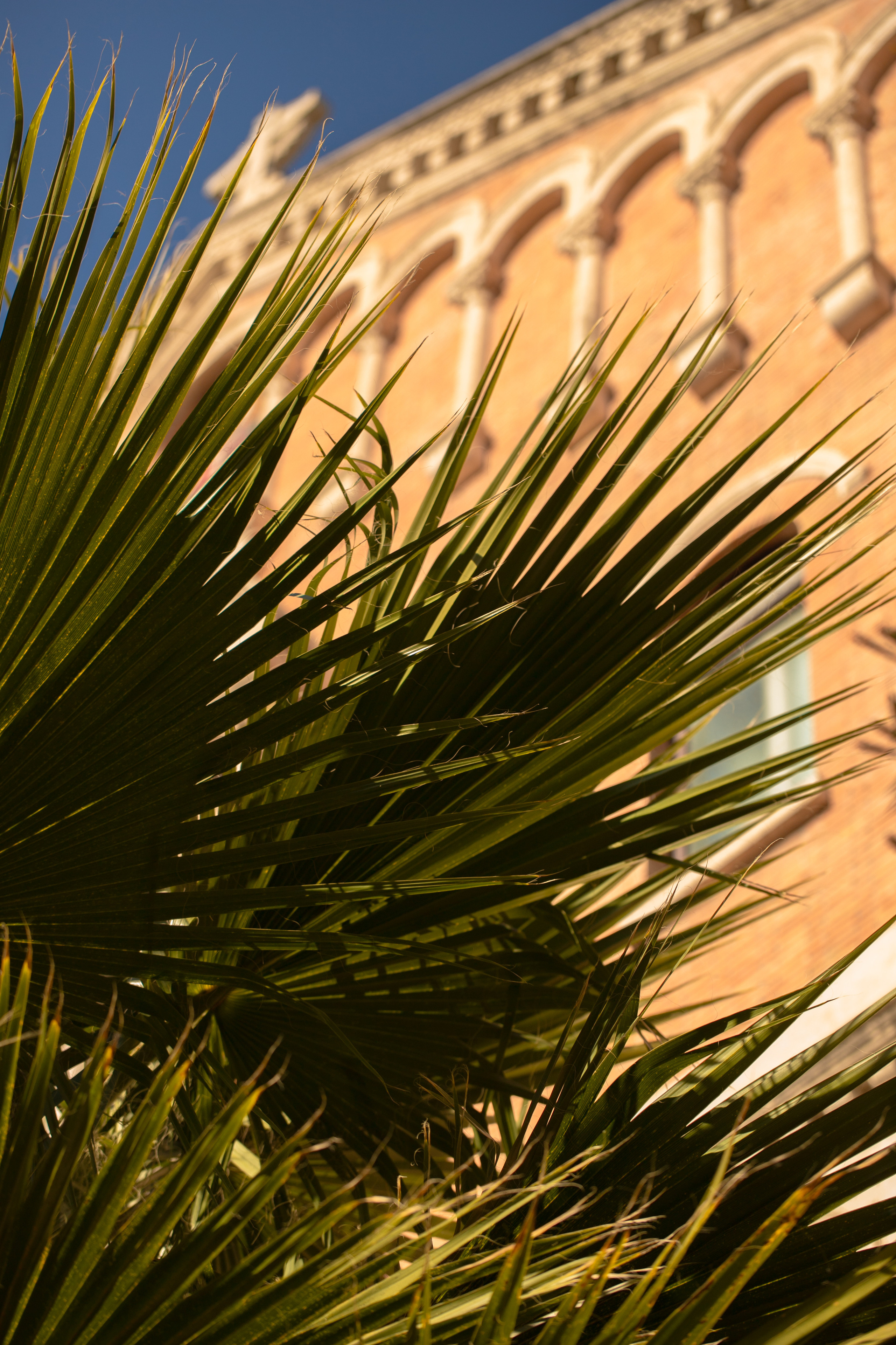 Around the World. Photographer and Videographer | Chisinau, Moldova