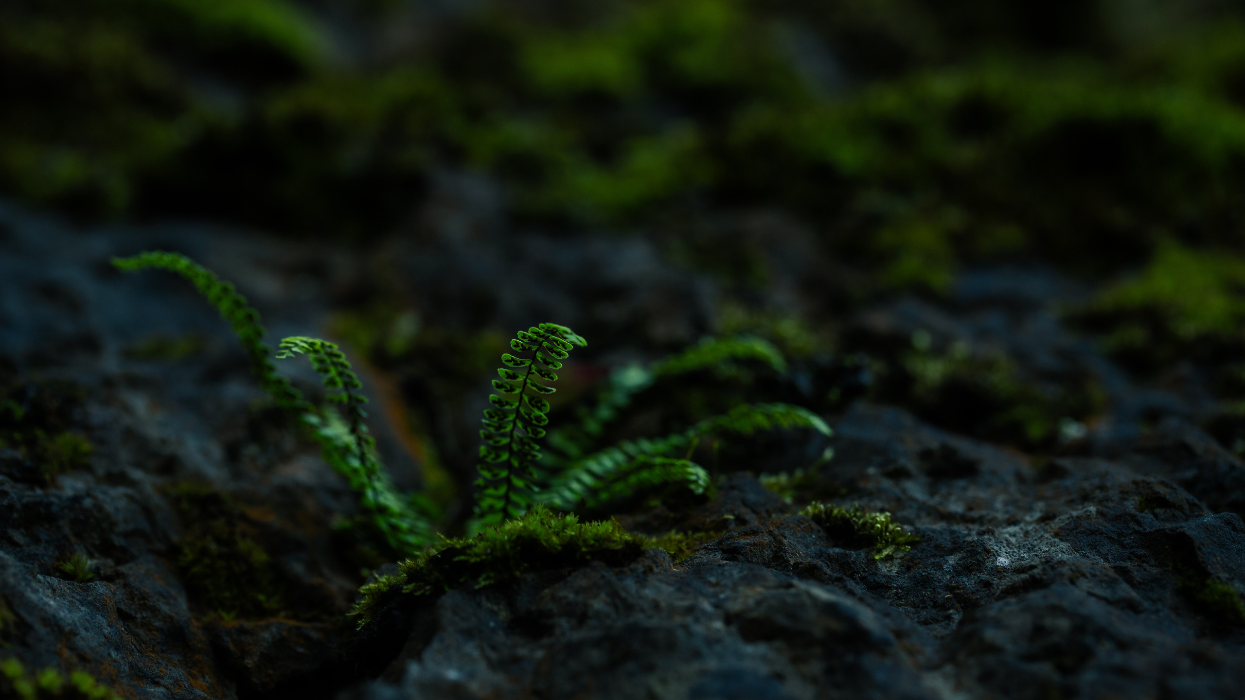 Around the World. Photographer and Videographer | Chisinau, Moldova