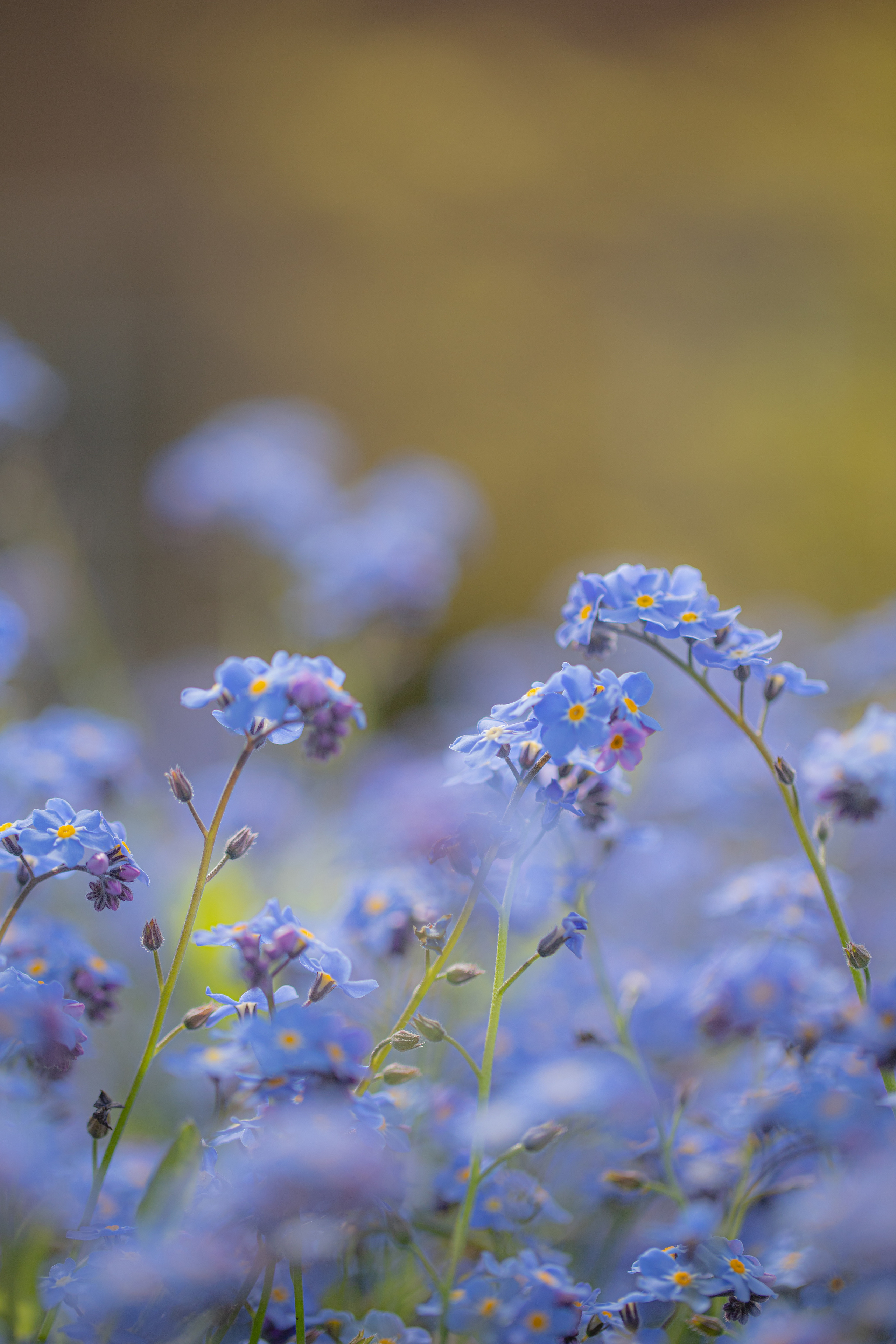 Around the World. Photographer and Videographer | Chisinau, Moldova