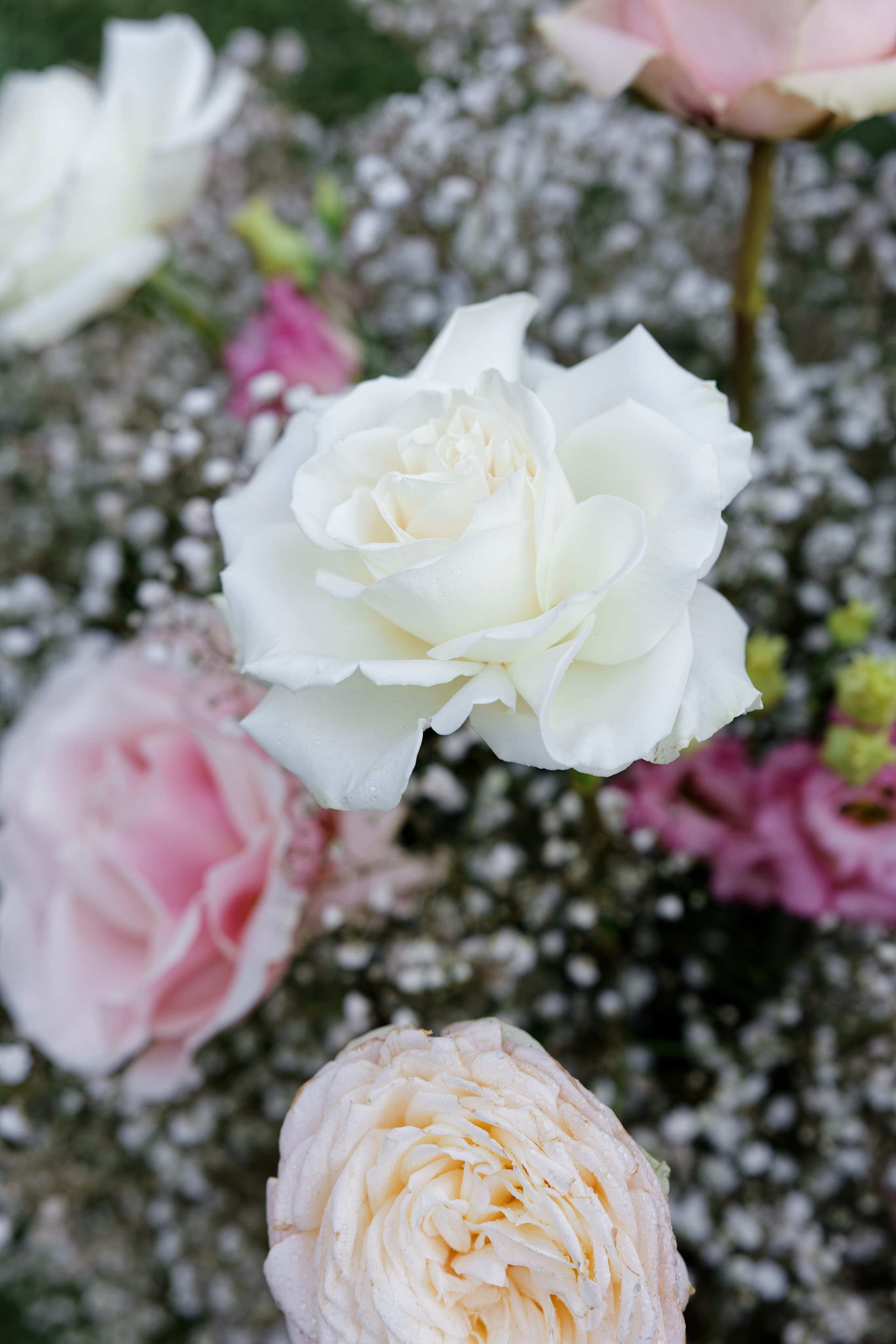 Wedding at Villa Carminati Resta on Lake Como