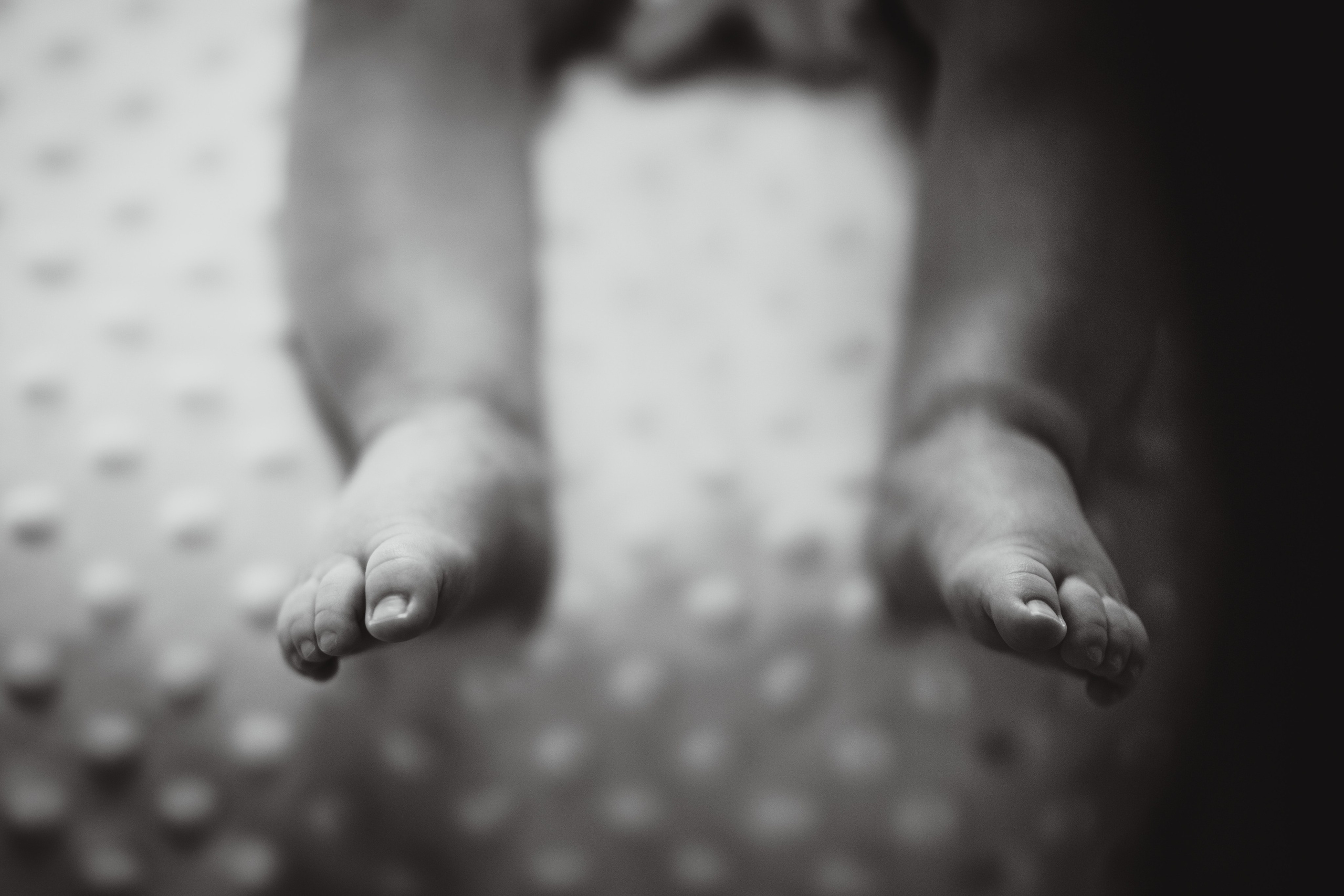 Selim. The Catalins Events — Wedding Photography & Videography