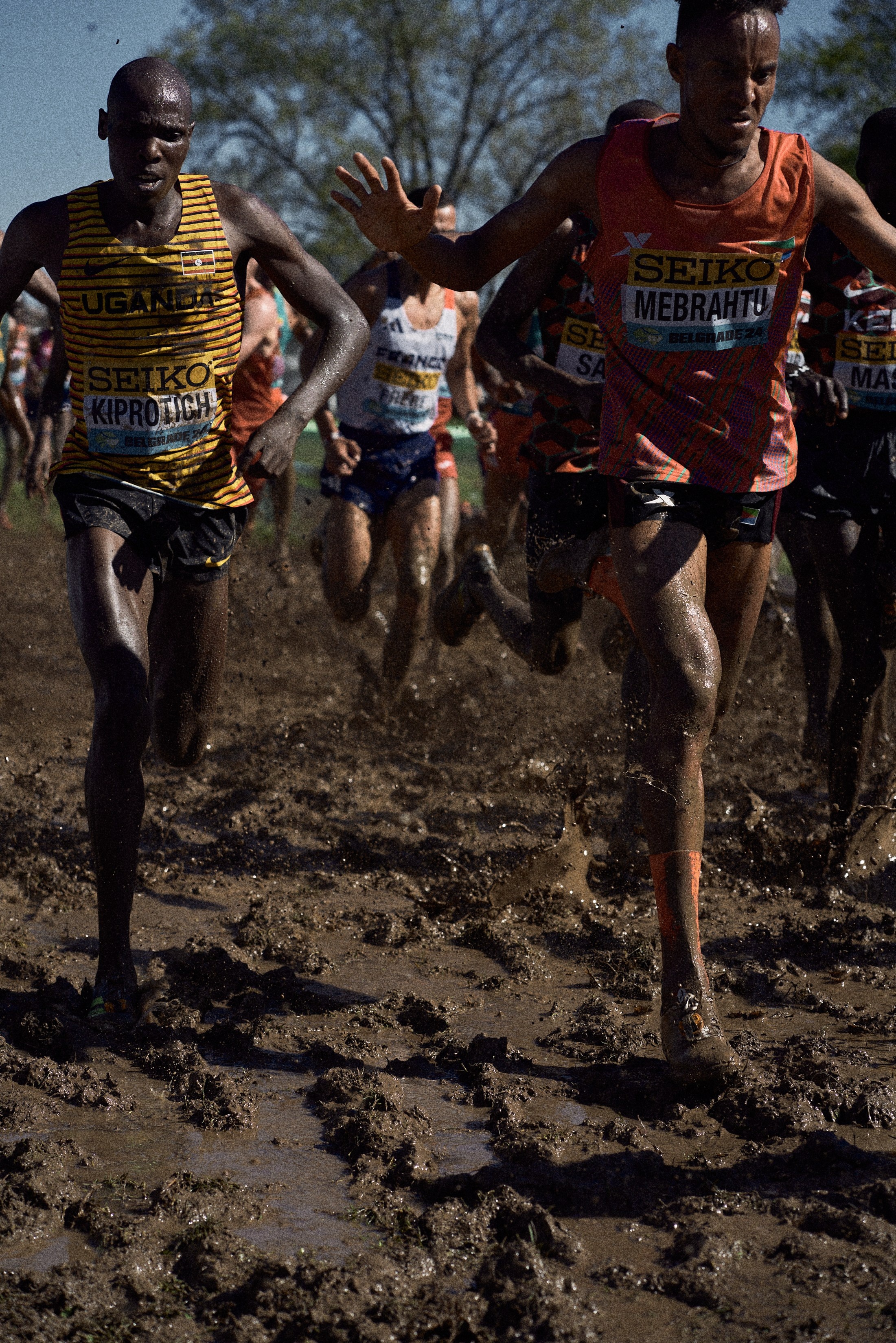 Cross Country Championship 2024 #running. Photographer Evgeniya Dovgalyuk