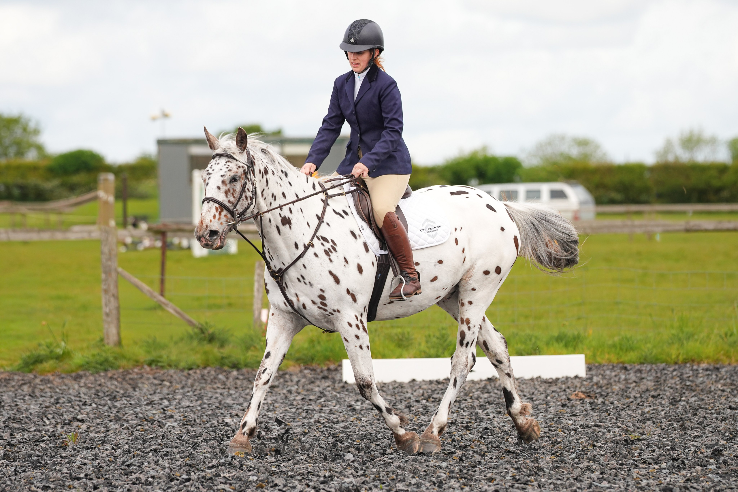 Dressage. Leicestershire Equine Photography by El | Authentic Equine Portraits & Events