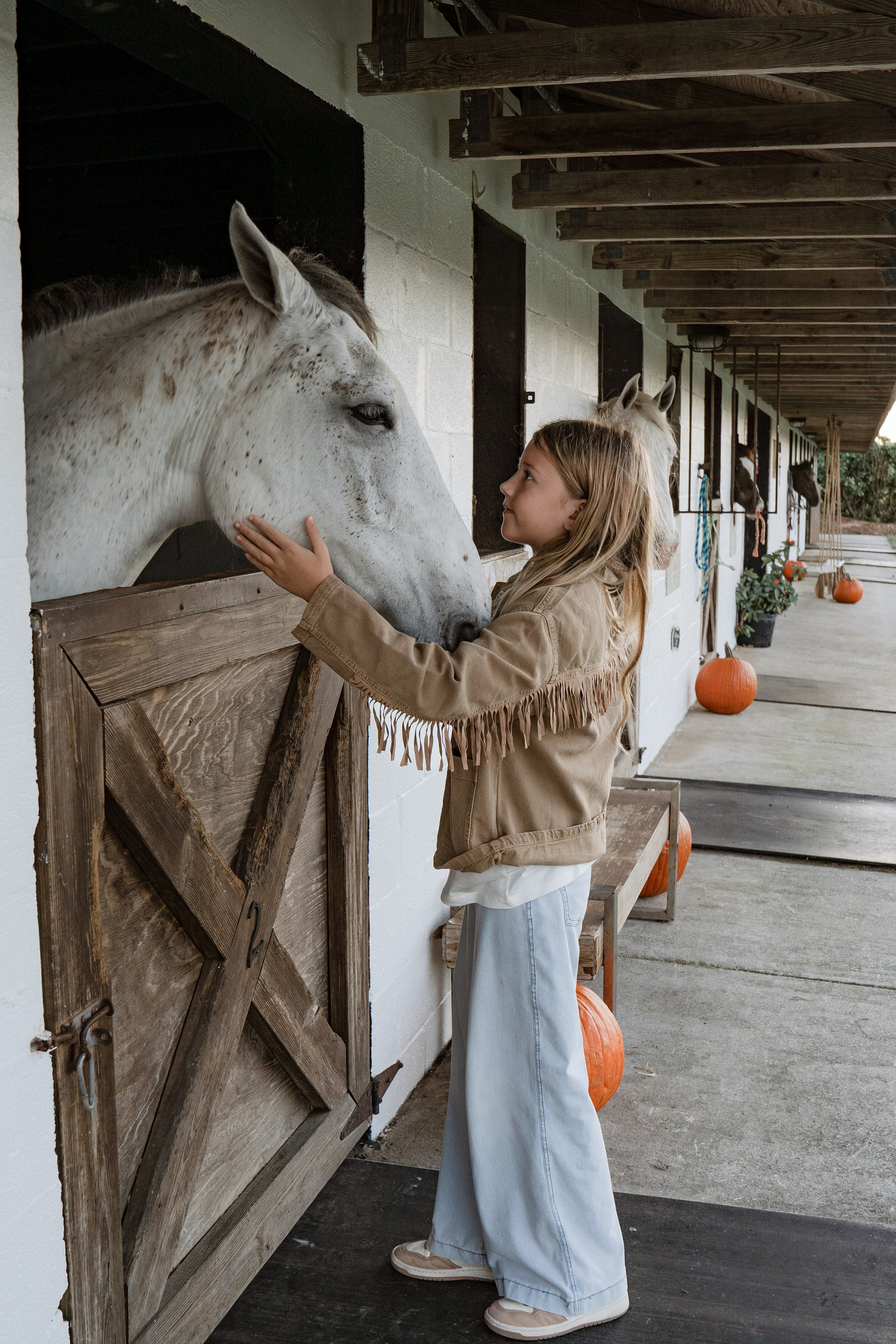 Stables Sessions. Https://the-photo-way.wfolio.pro