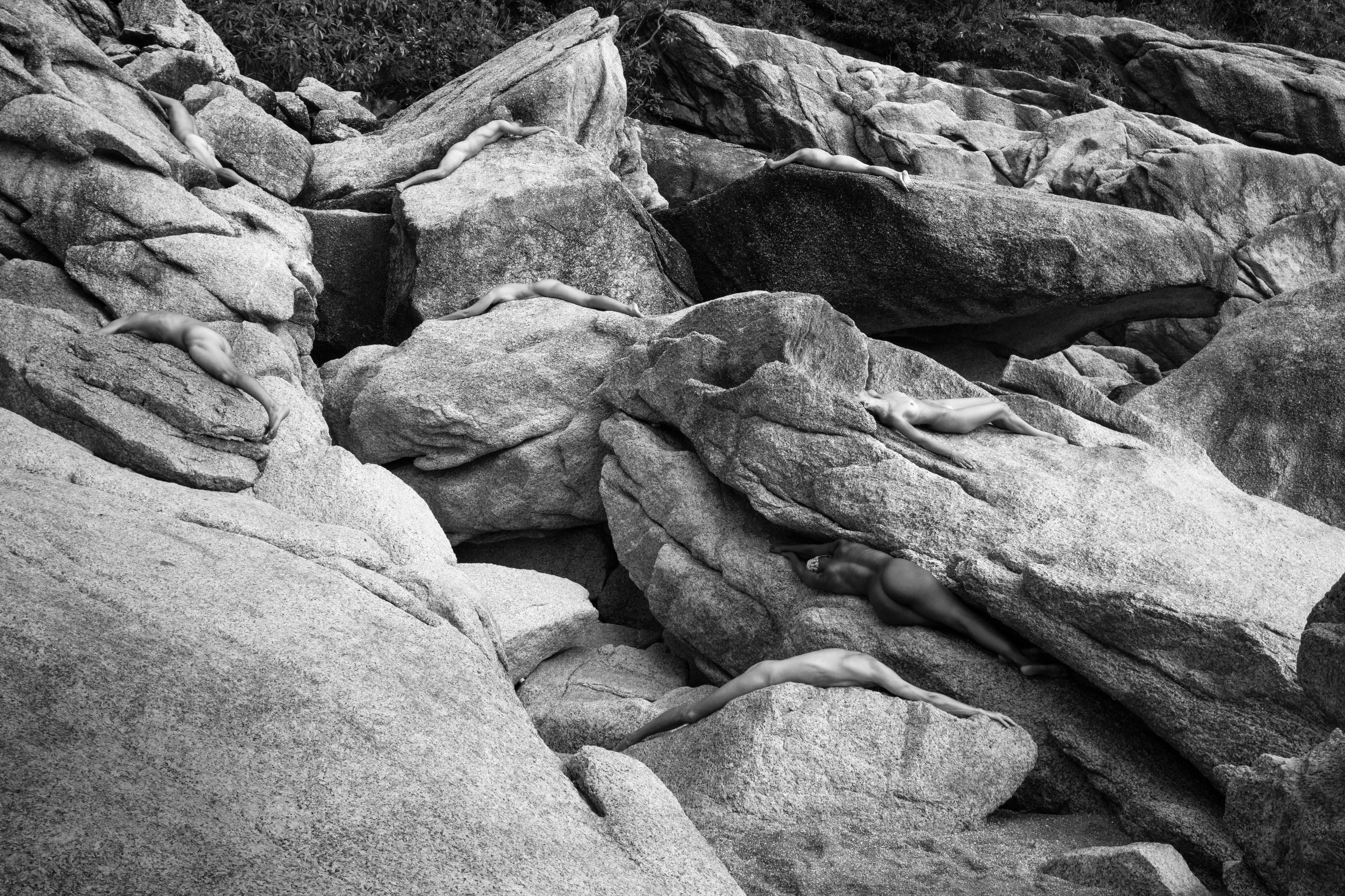 WILD. Anton Usanov | Creative producer | Photographer | Art-director