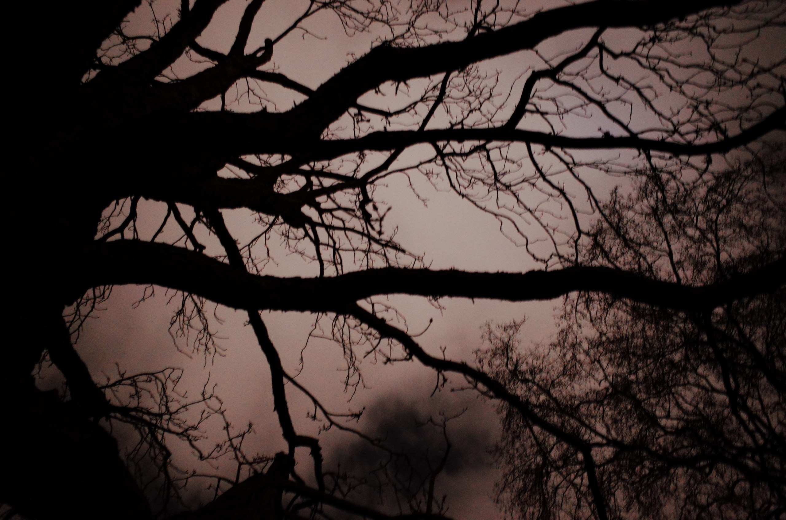 Viktoriia Road. Victoria Dini. Art photography in London / Folkestone, UK