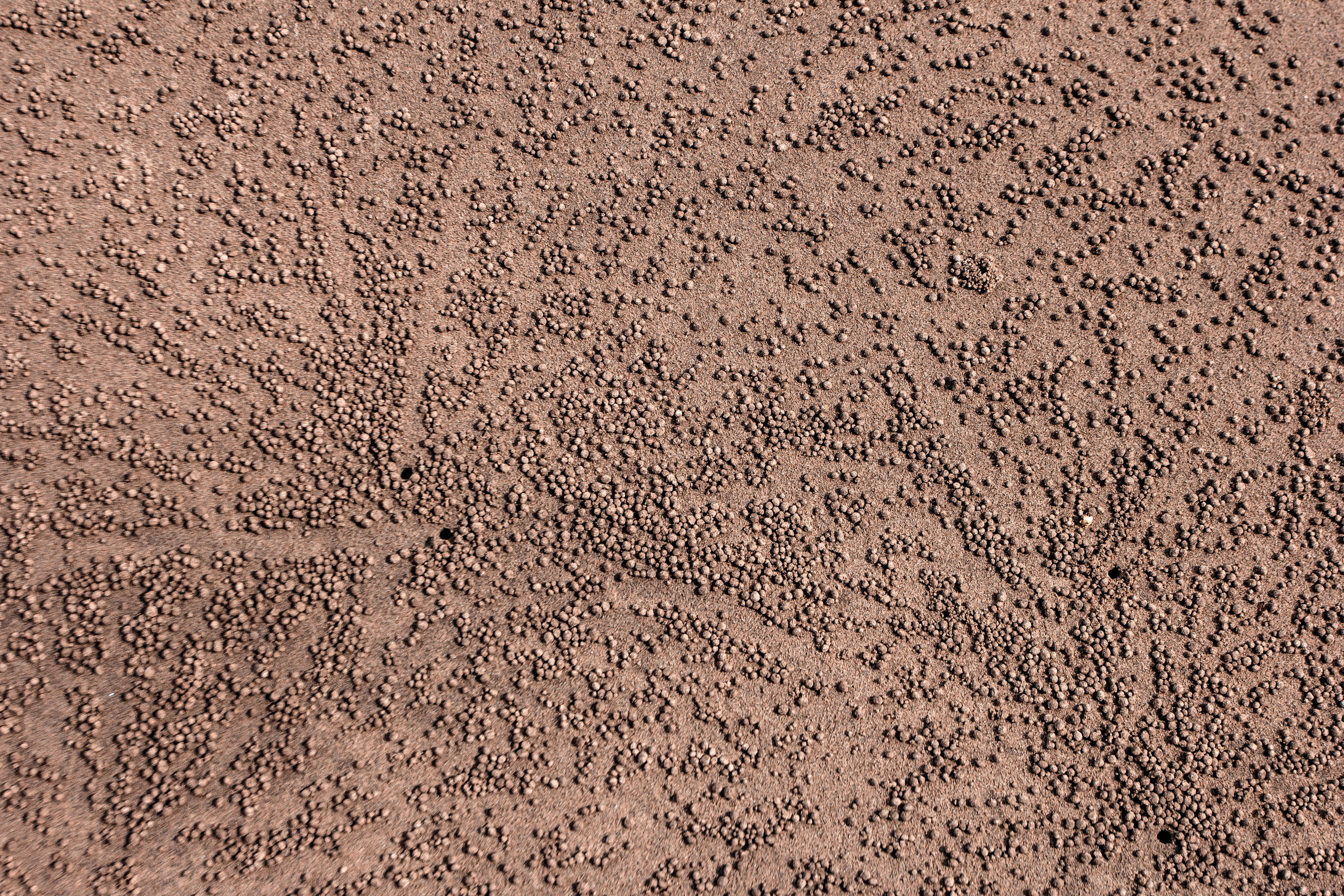 Sri Lanka. Art Photographer