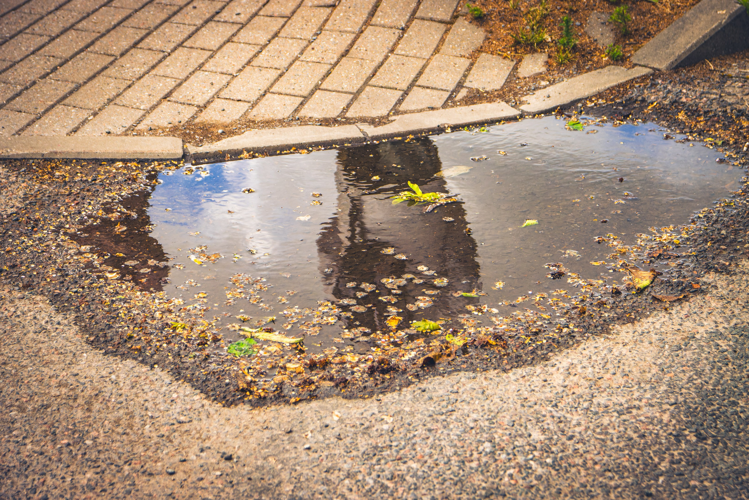Saarema, reis. Nebula 25 — Fotod teie hingele