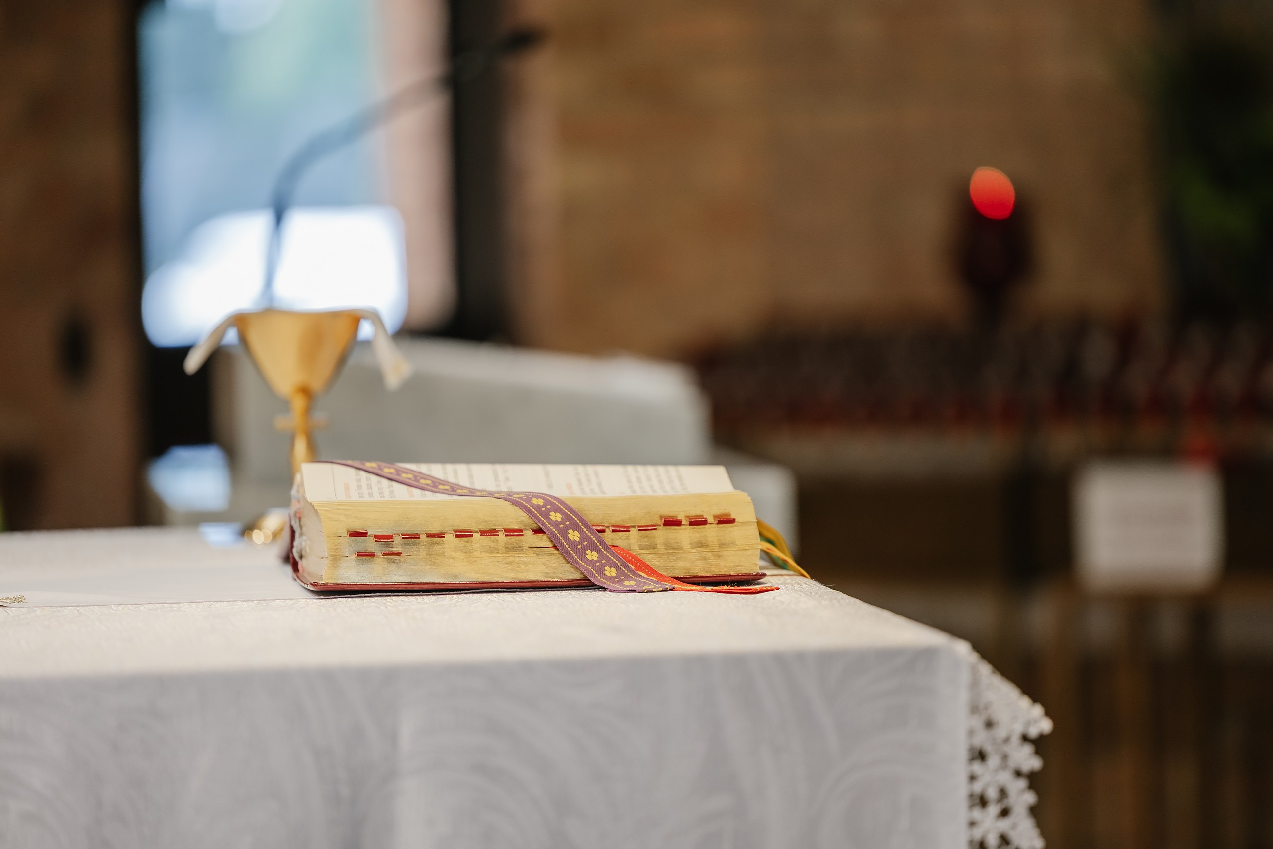 09.06.2025 Wedding. Wedding family event photographer in Chicago Nick Yushevich