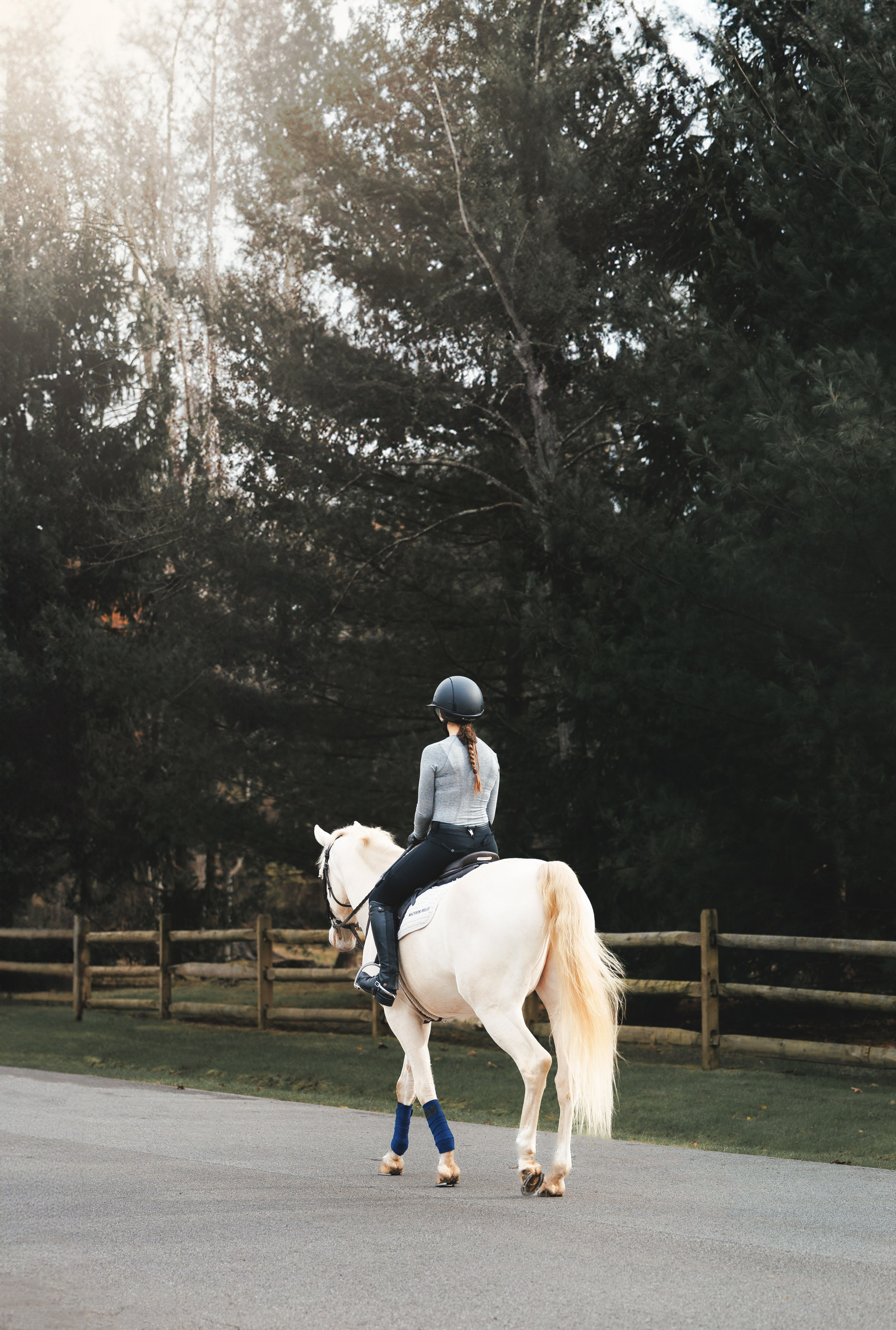 Mel & Christina. Pet Photographer Viktoriya Aleshenko