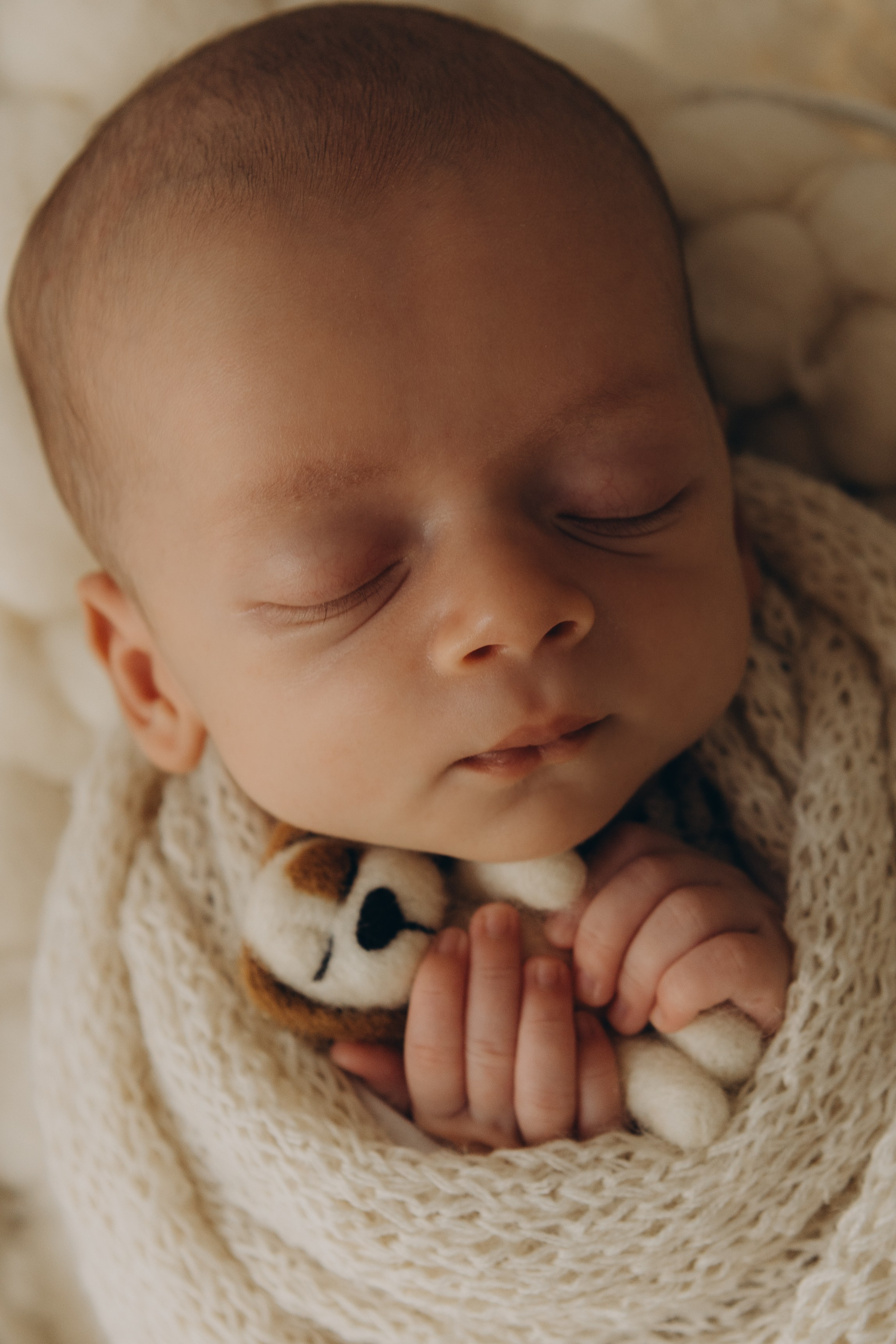 newborn envolto em manta neutra em estúdio com luz natural em Sorocaba