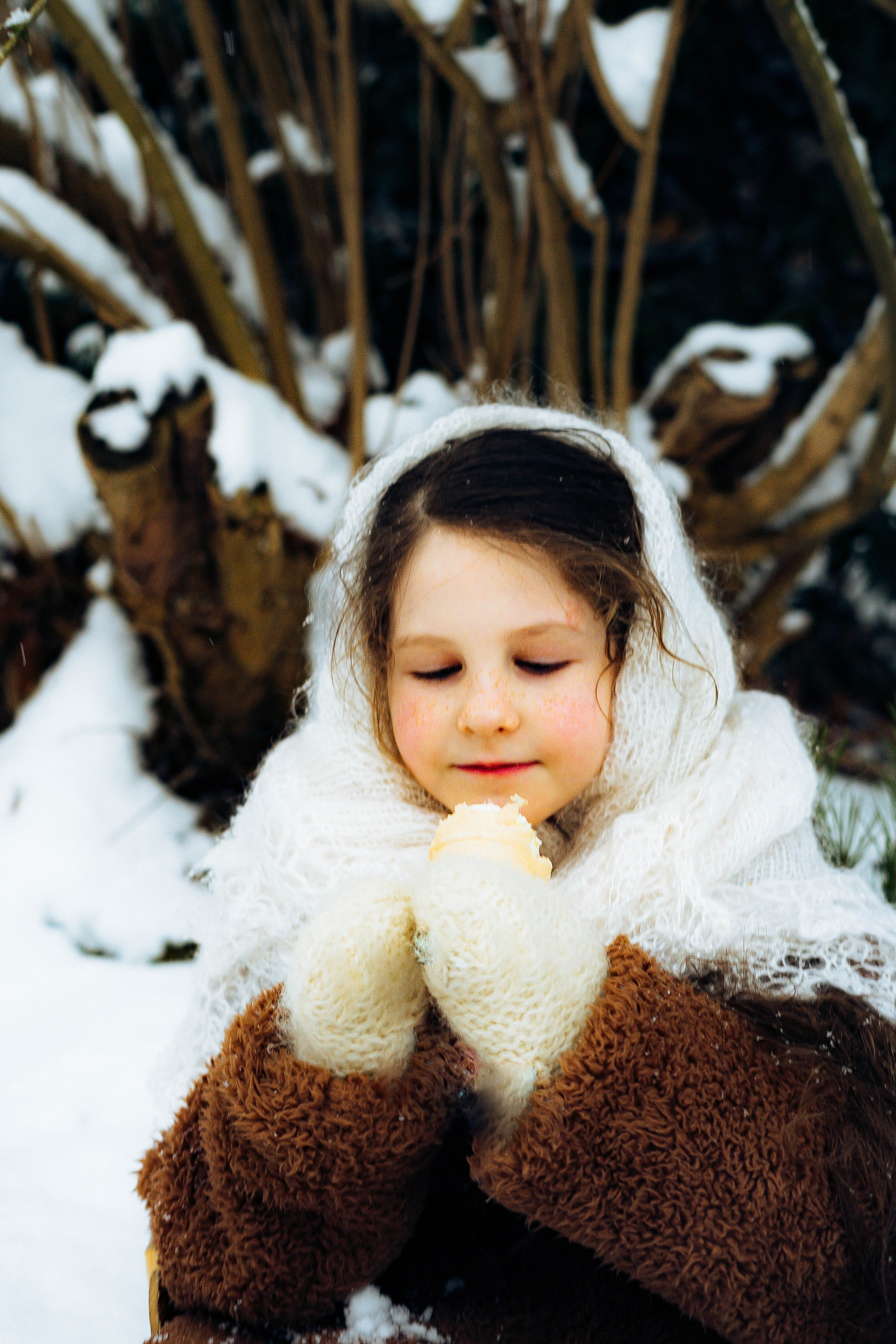 Snow in Vancouver. Main