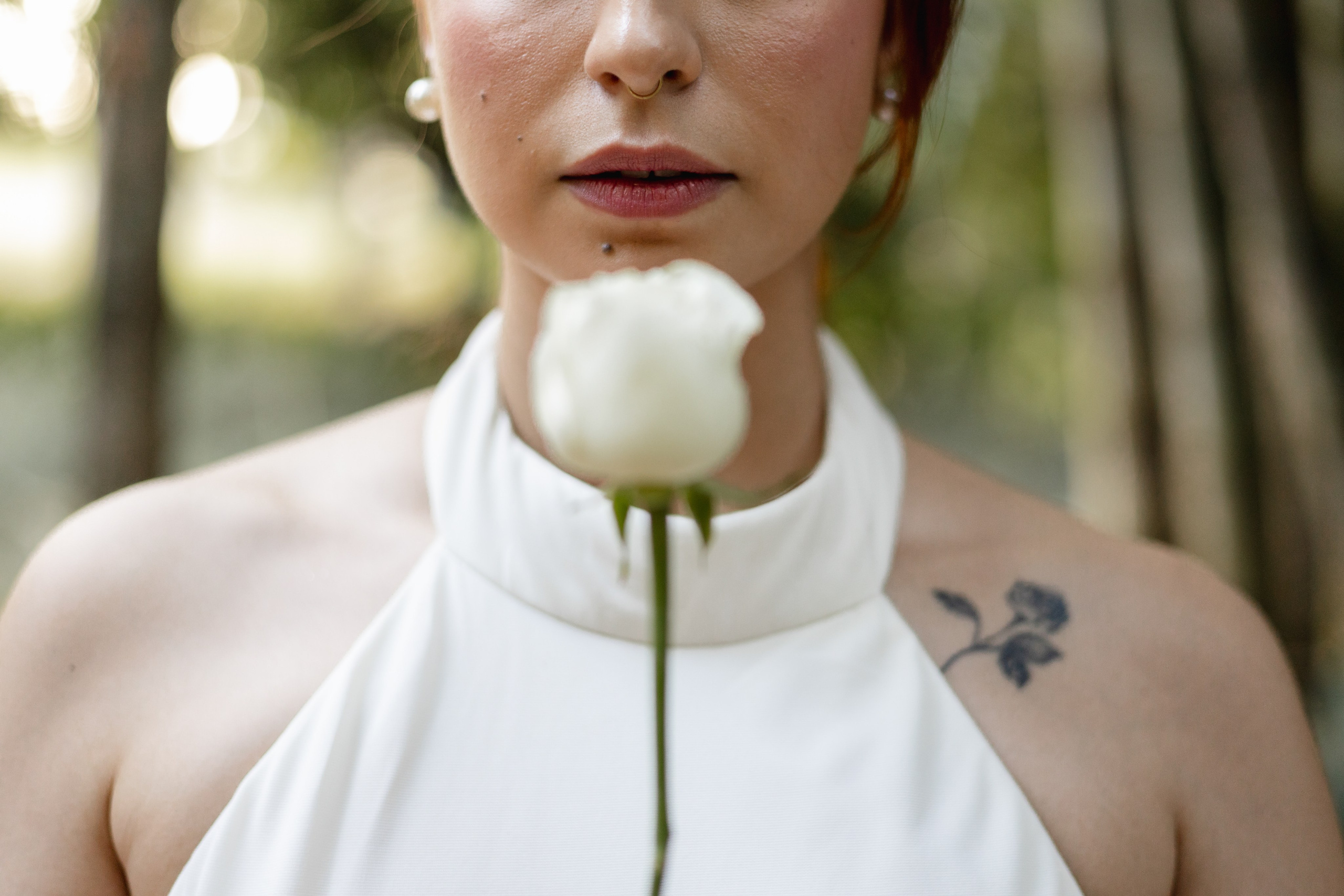 Editorial Dom Brunello