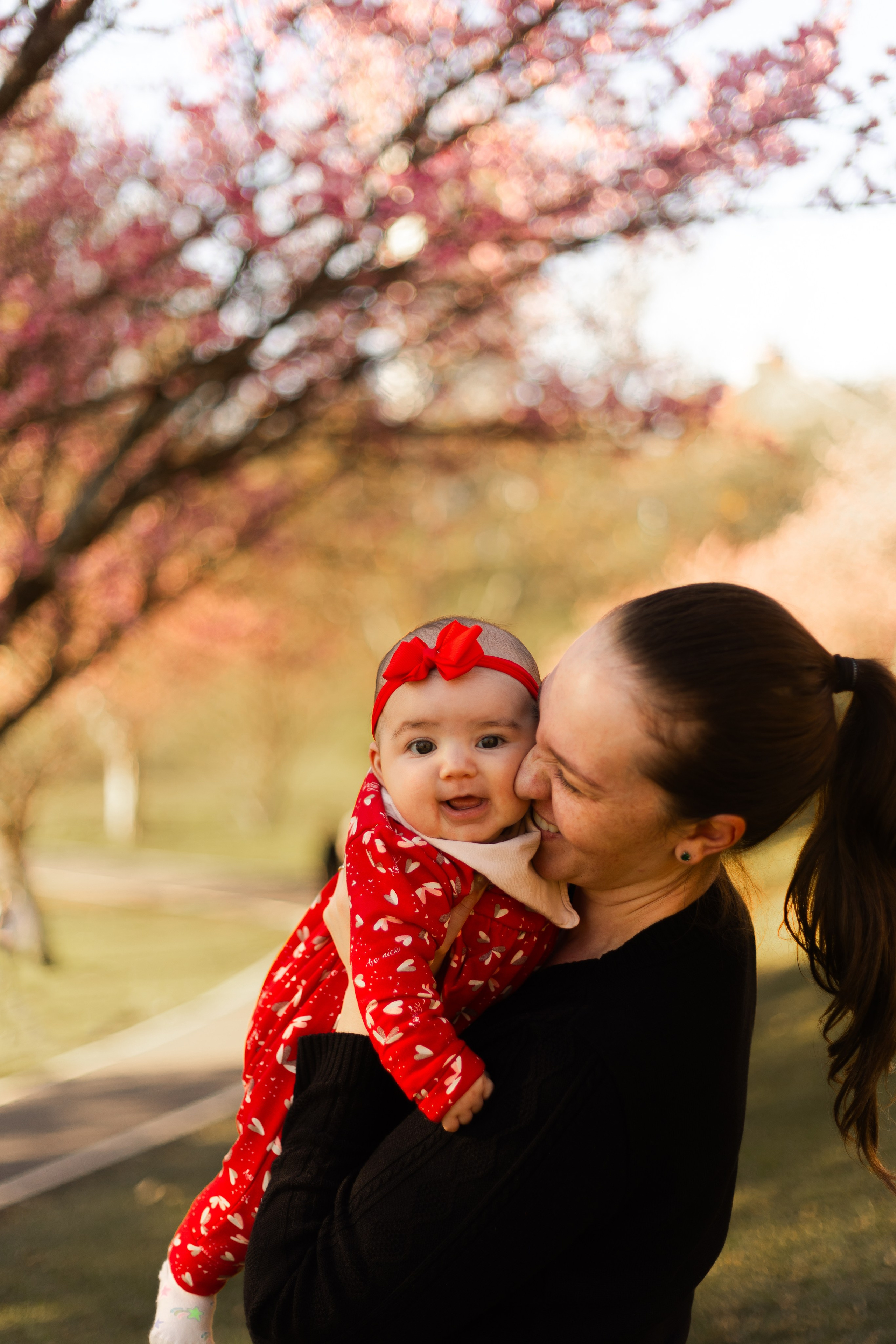 Minha familia nas cerejeiras