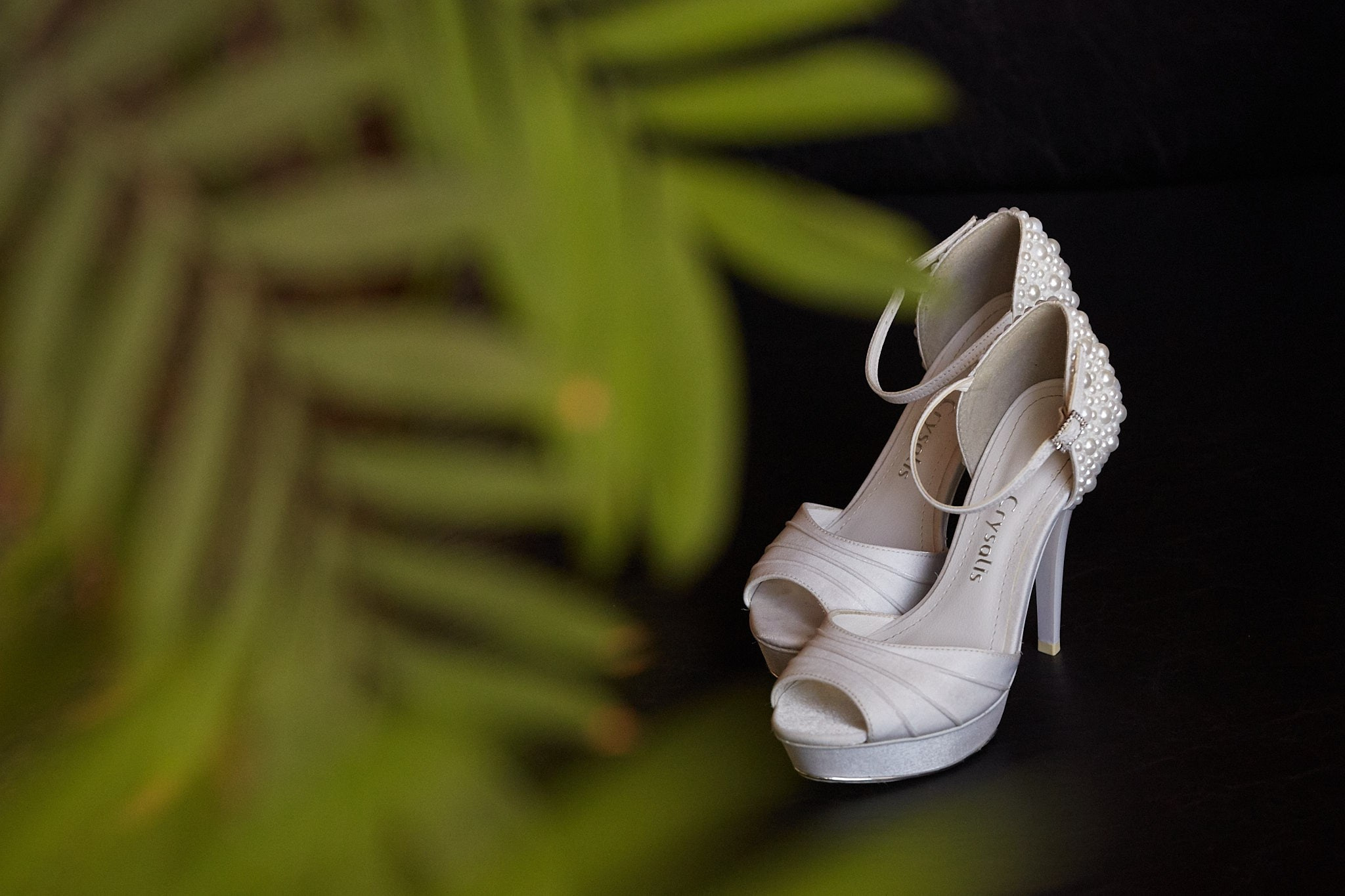 Casamento Carol e Ricardo. Fotógrafo de casamentos em Florianópolis