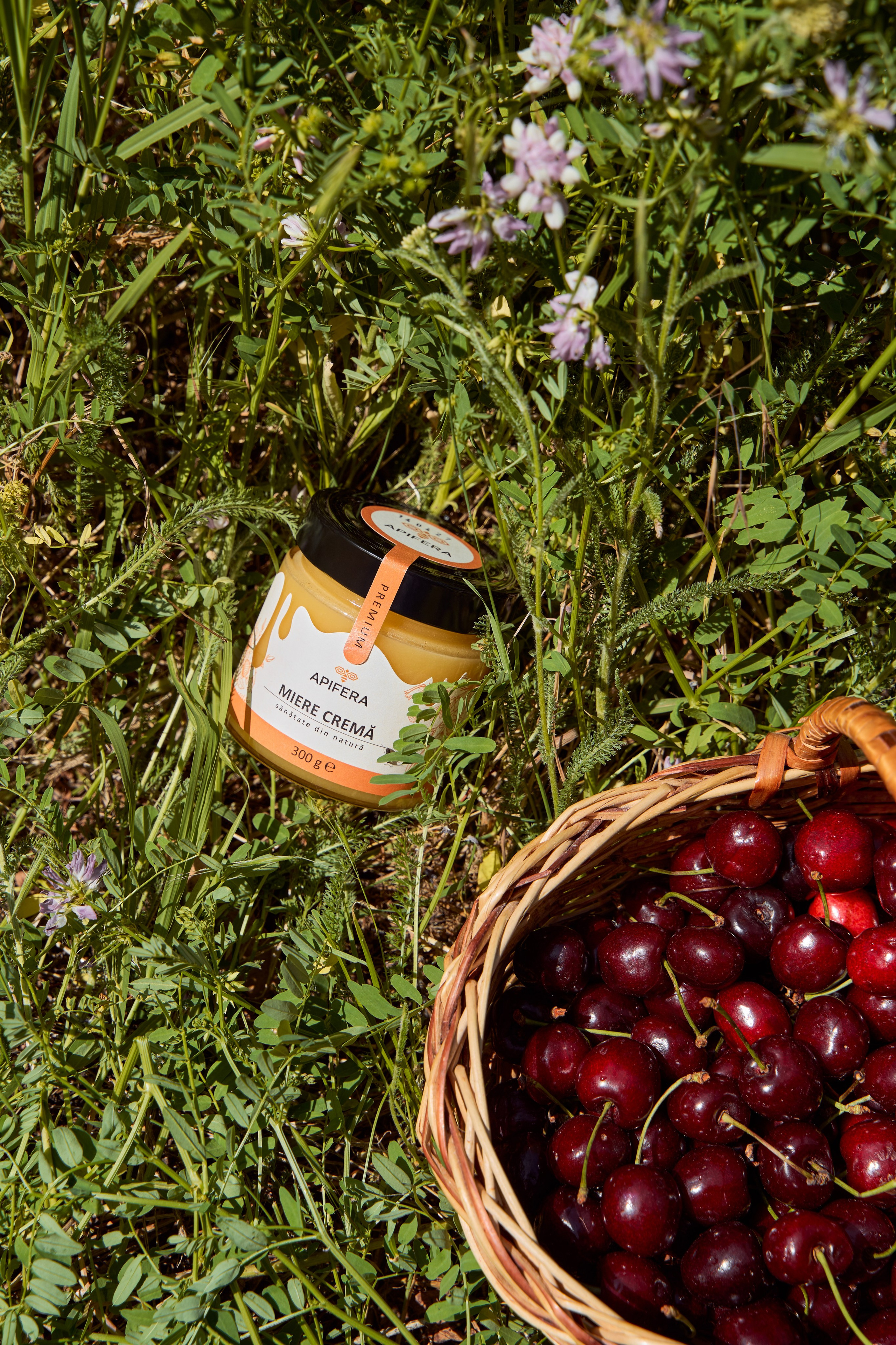 Apifera. Привет