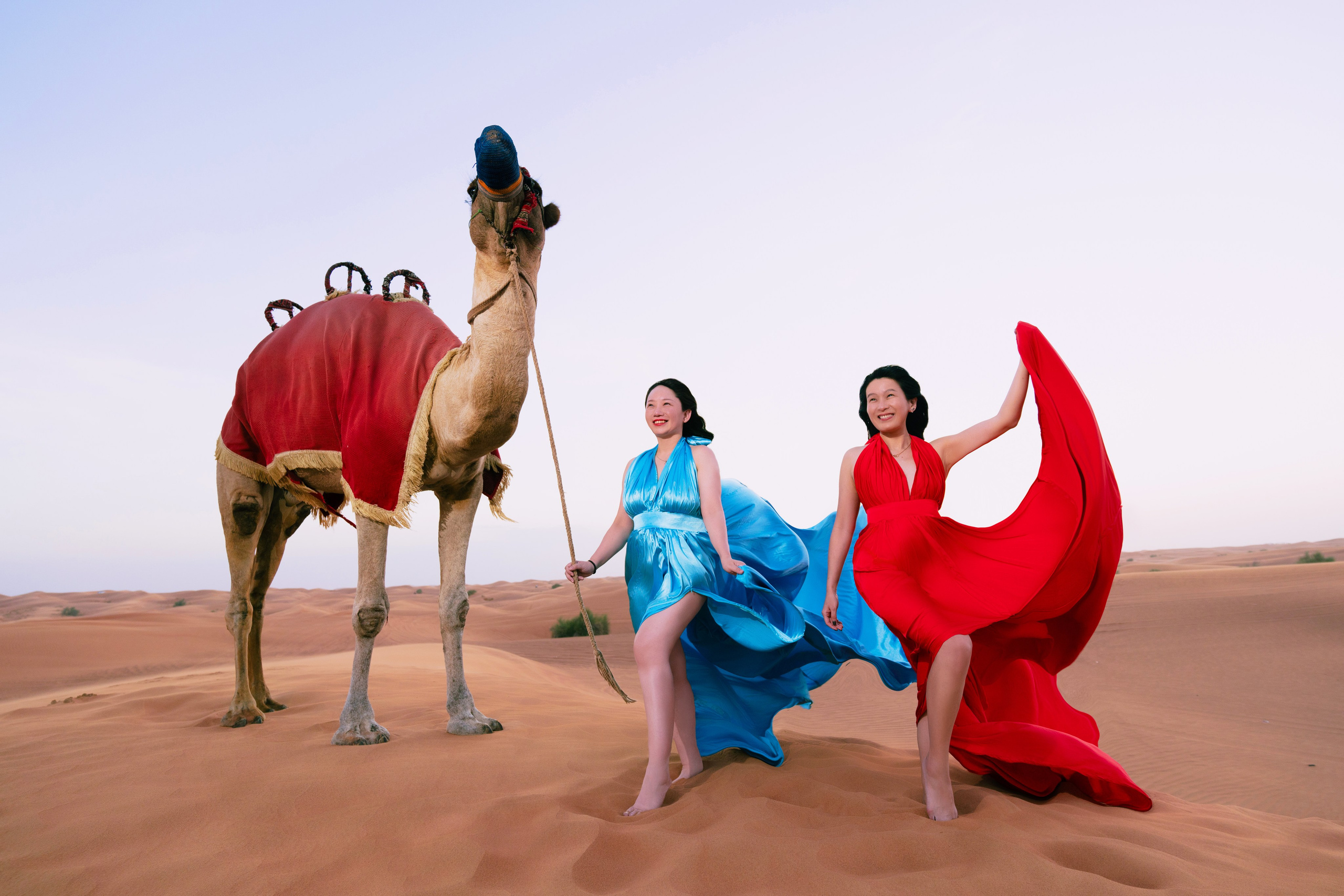 With horses and camels. Photographer and videographer in Dubai Dmitry Gromov