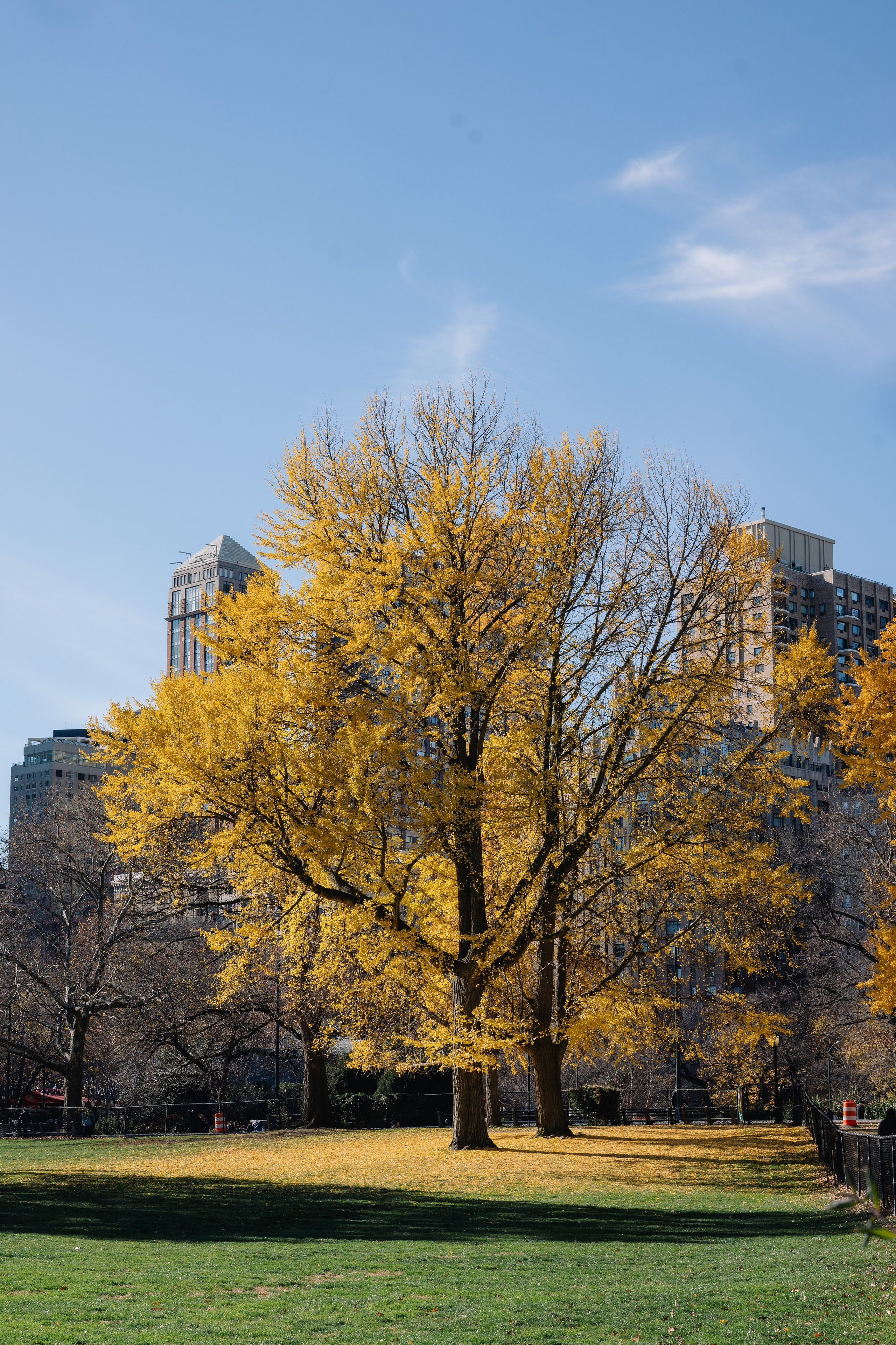 Marina and Mina | Central Park Engagement Session