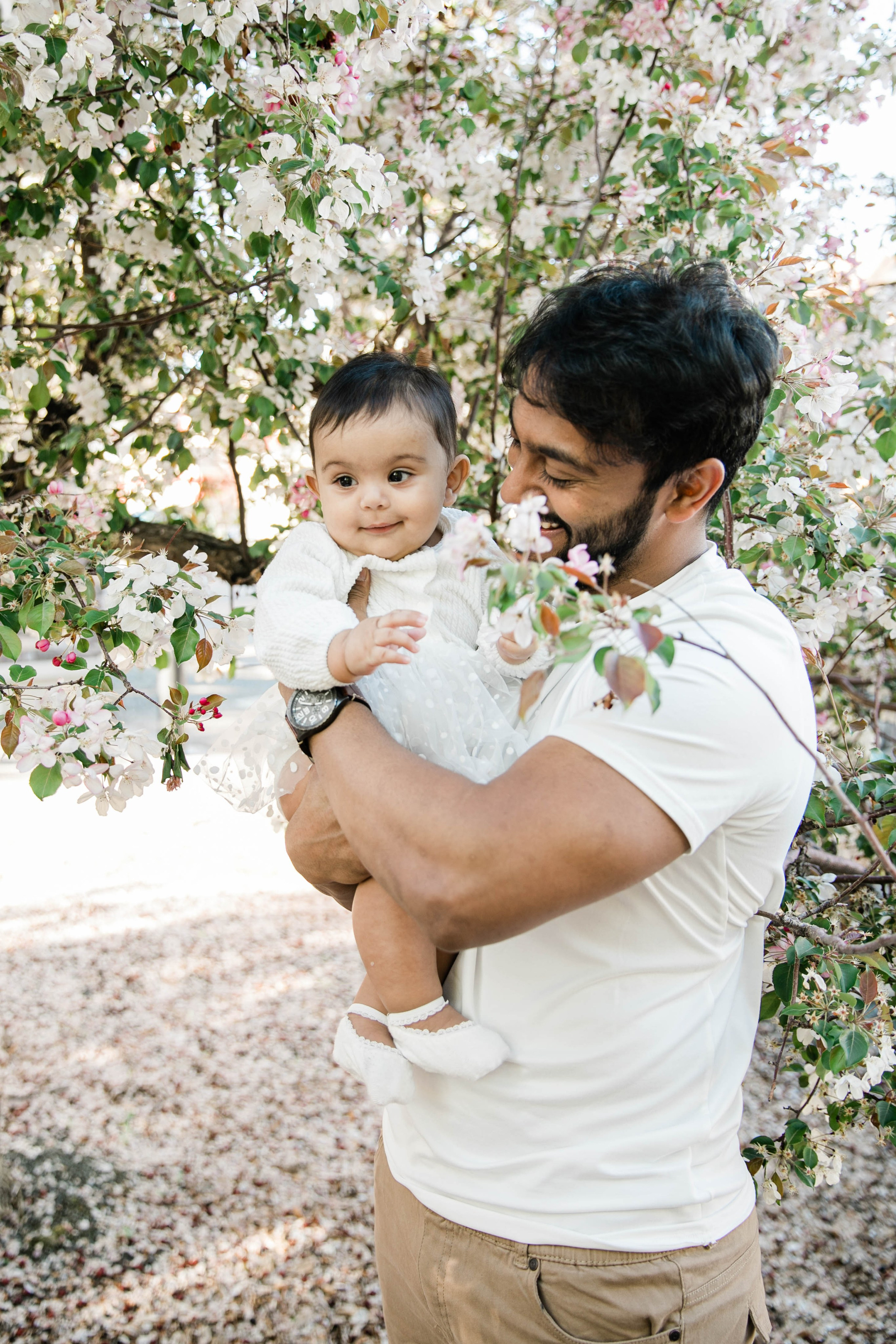 Nabeel Family Cherry Blossoms. Fotografía accesible en Calgary