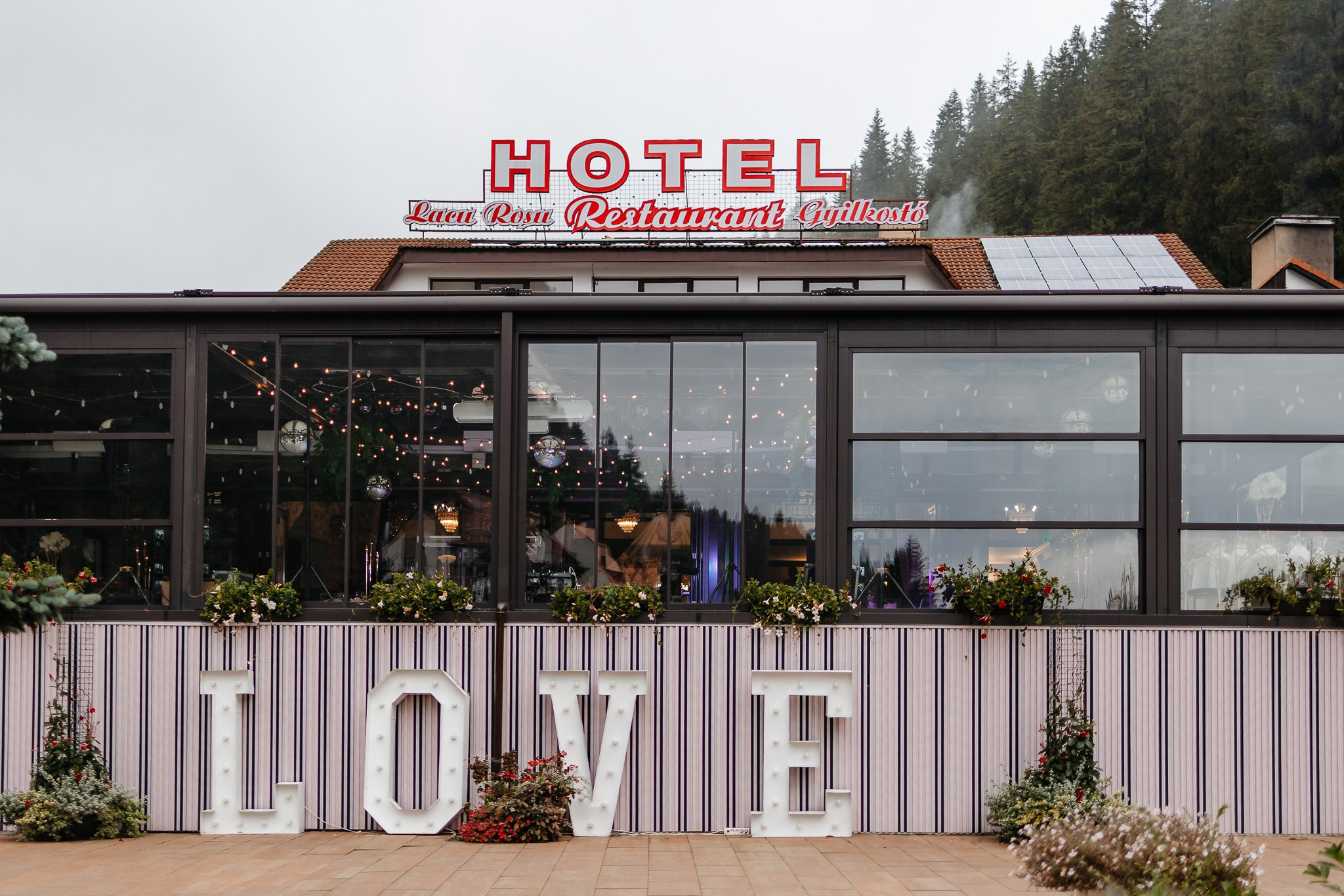 Optimism. FotoACTIV.ro - Imaginea ta contează