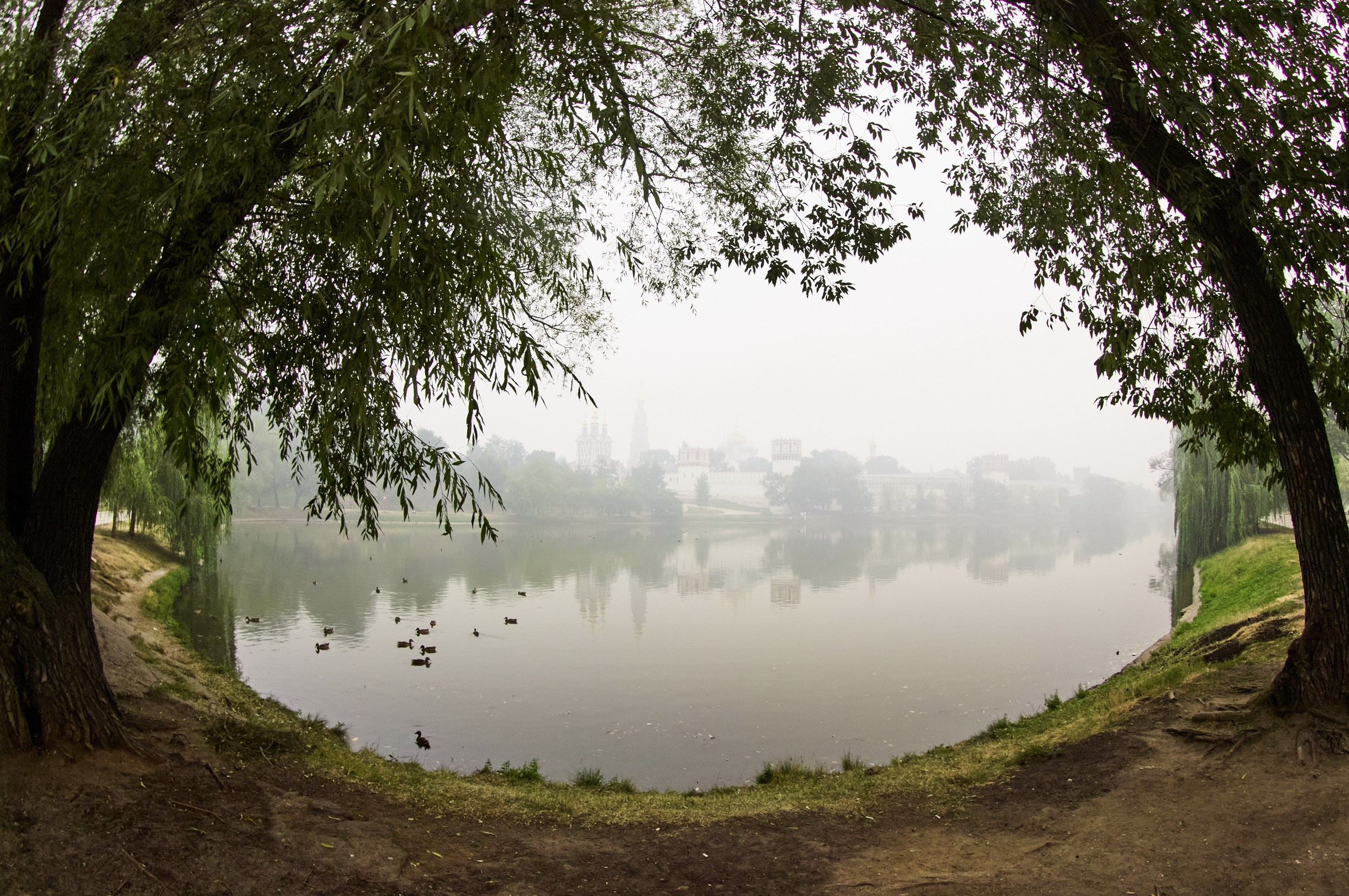 Landscapes by Yury Popkov. Yuri Popkov | Photographer