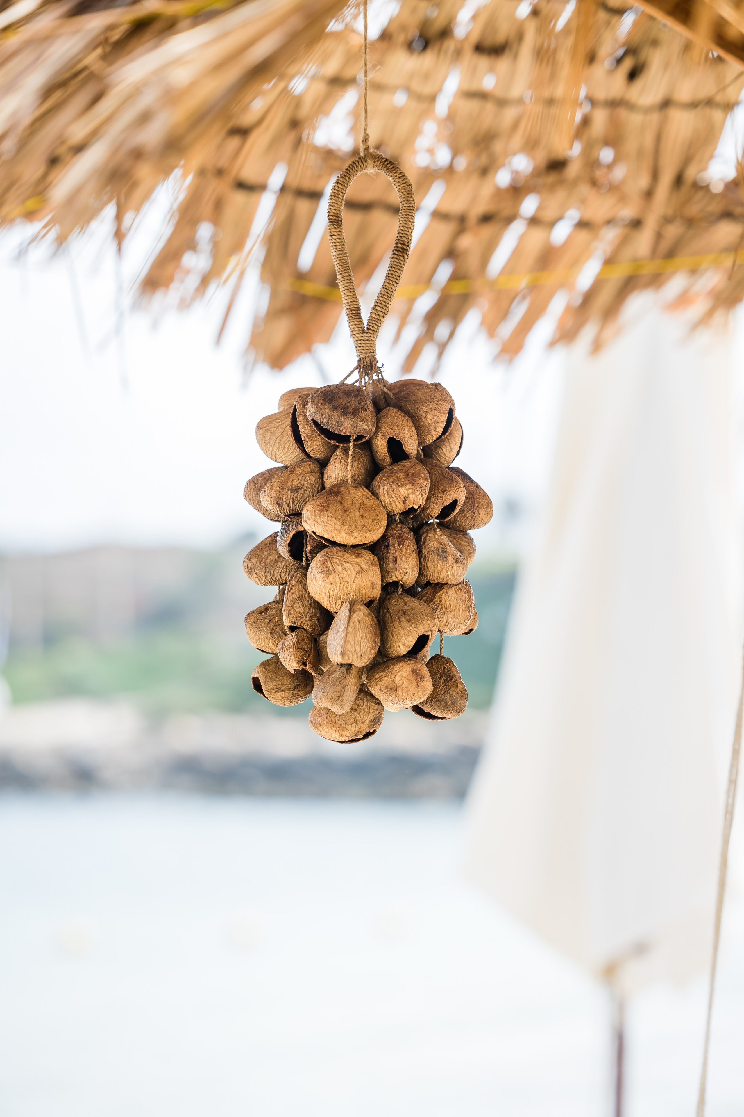 Qualcomm 2024 summer event. AMIR BUCHNIK PHOTOGRAPHER