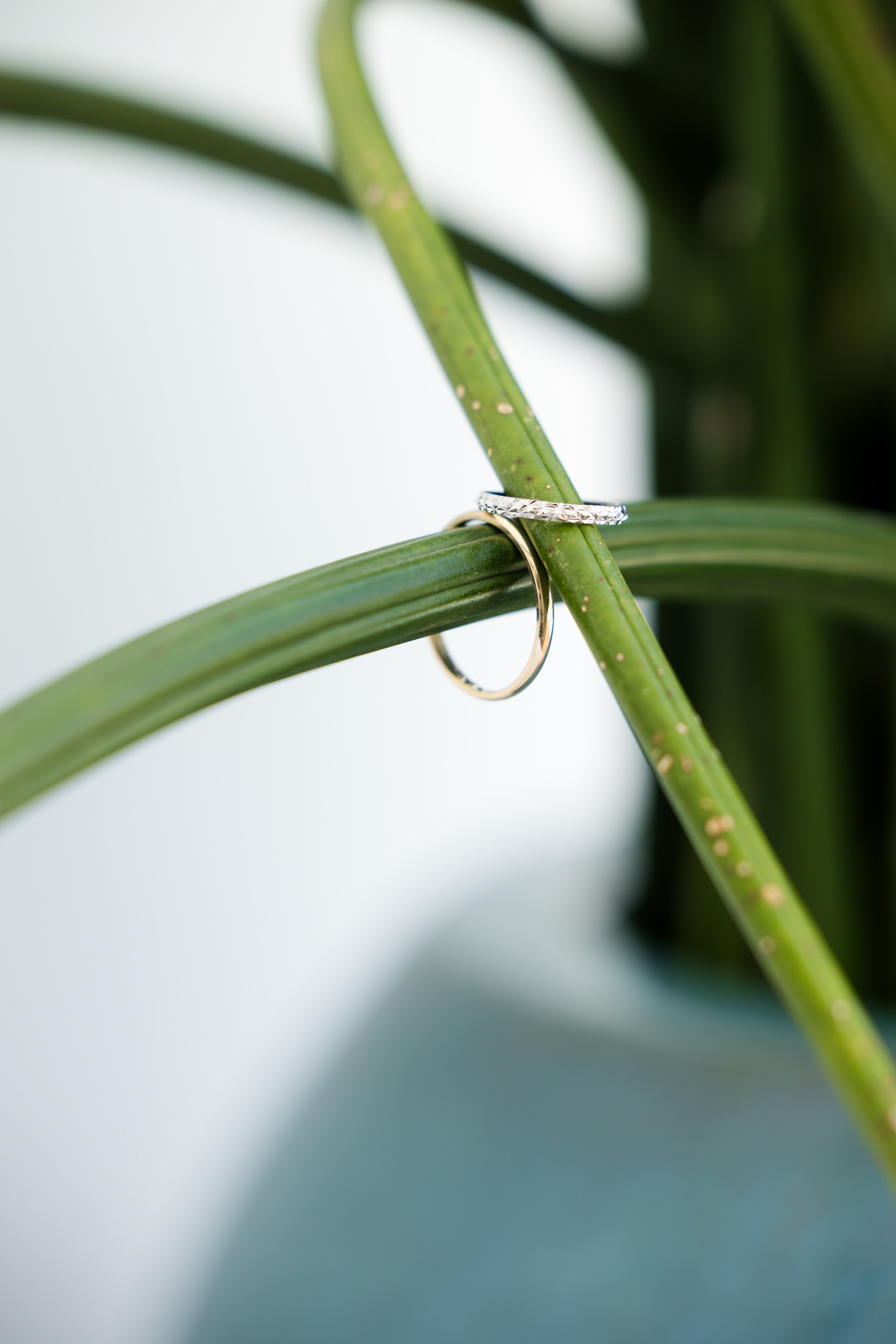 Loya & Alon. AMIR BUCHNIK PHOTOGRAPHER