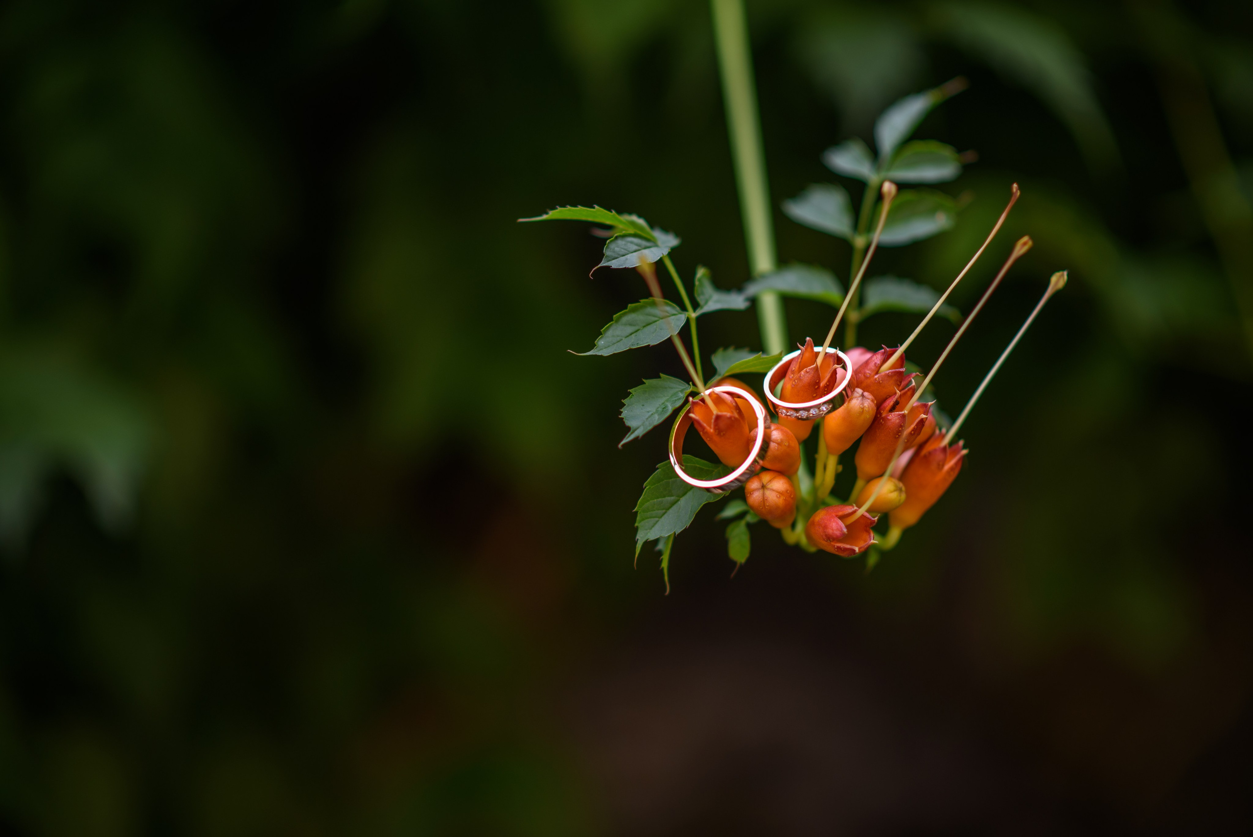 Wedding. Ekaterina Verbitskaya. Photography