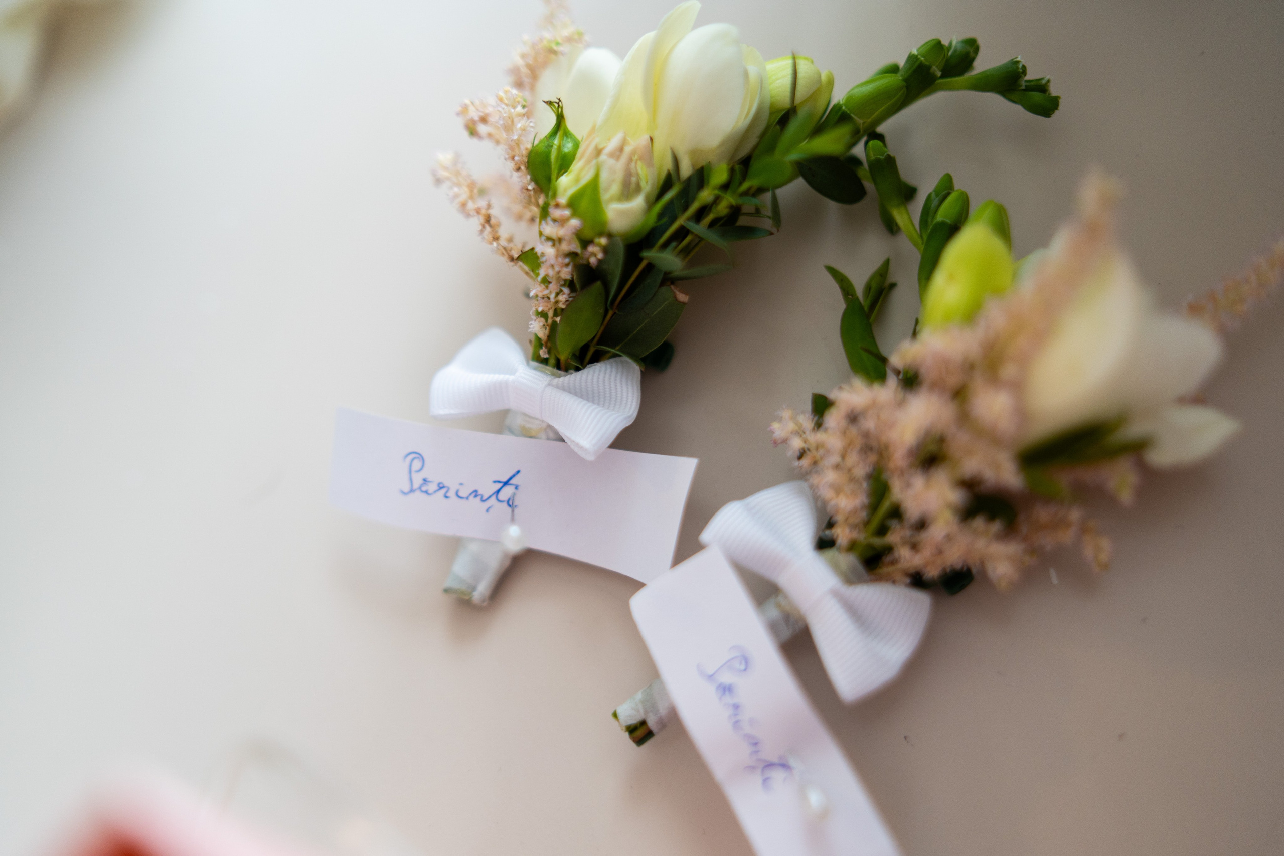 Alexandra + Andrei / Iasi. Foto-Video Nunta Iasi, Suceava, Bucuresti / Disponibilitate 2025 — 2026 — 2027