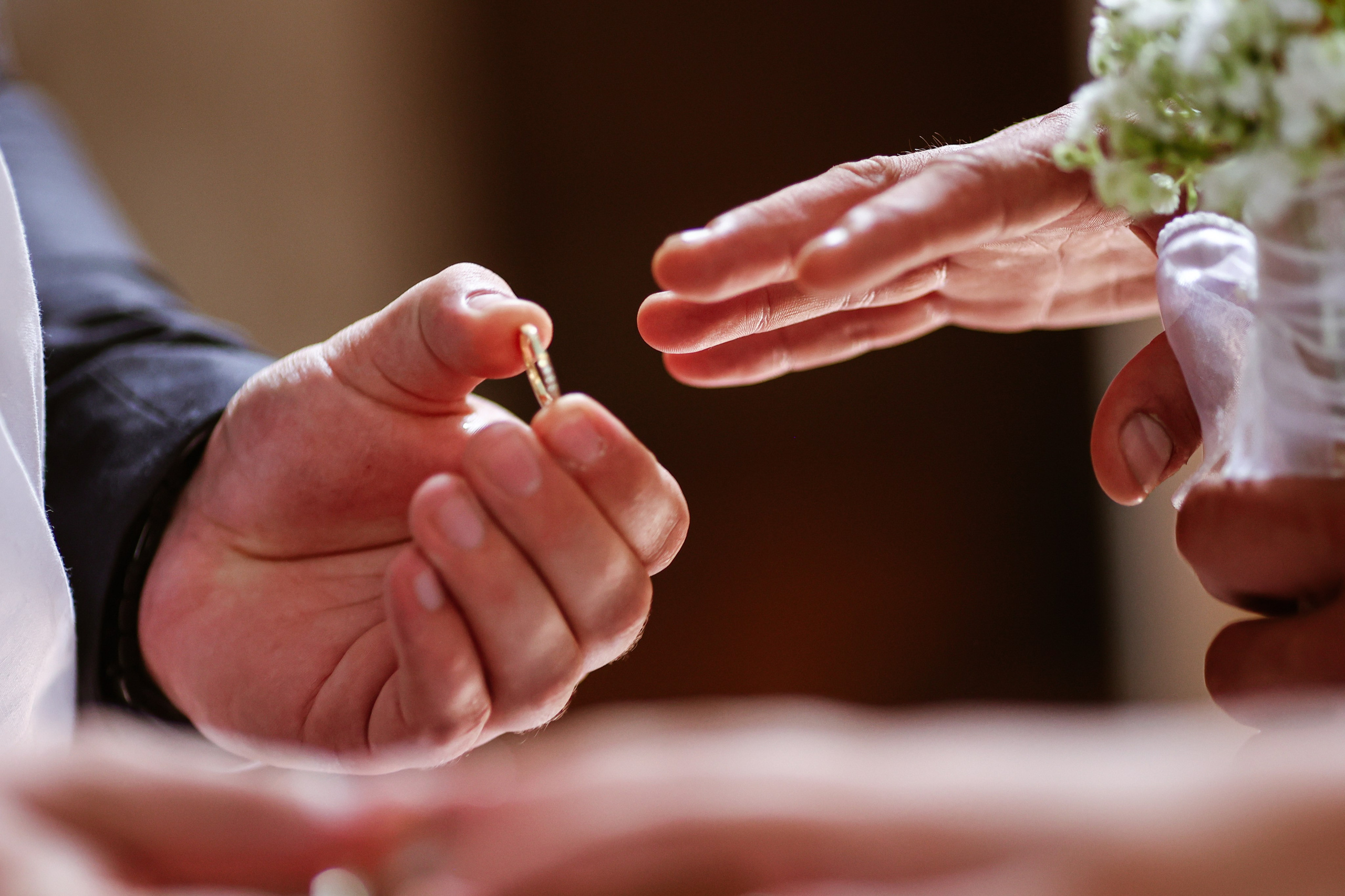 Wedding’s. Filić Aleksandar