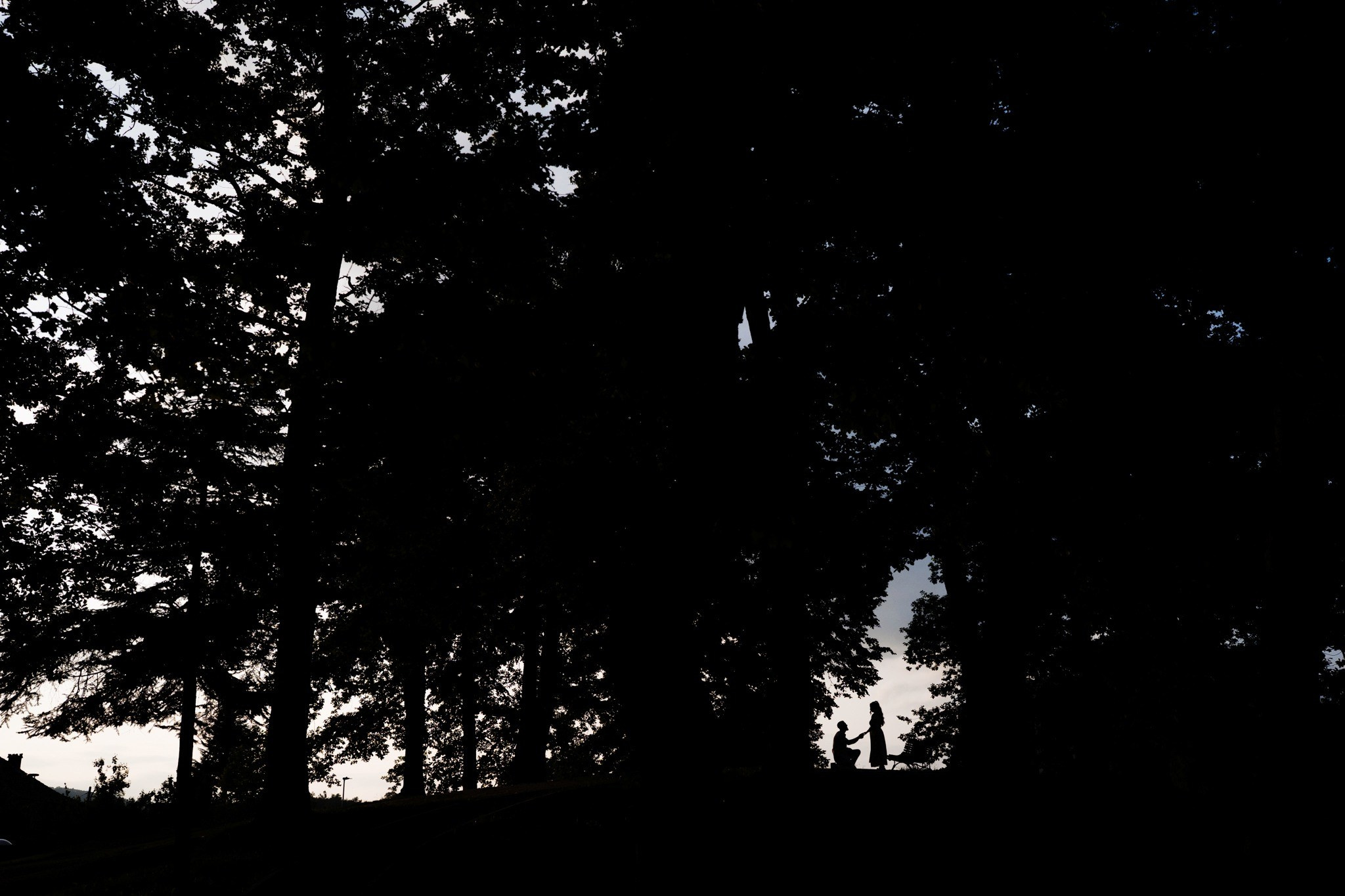 Ședințe foto. Adrian Vasile Fotograf de nuntă Brașov