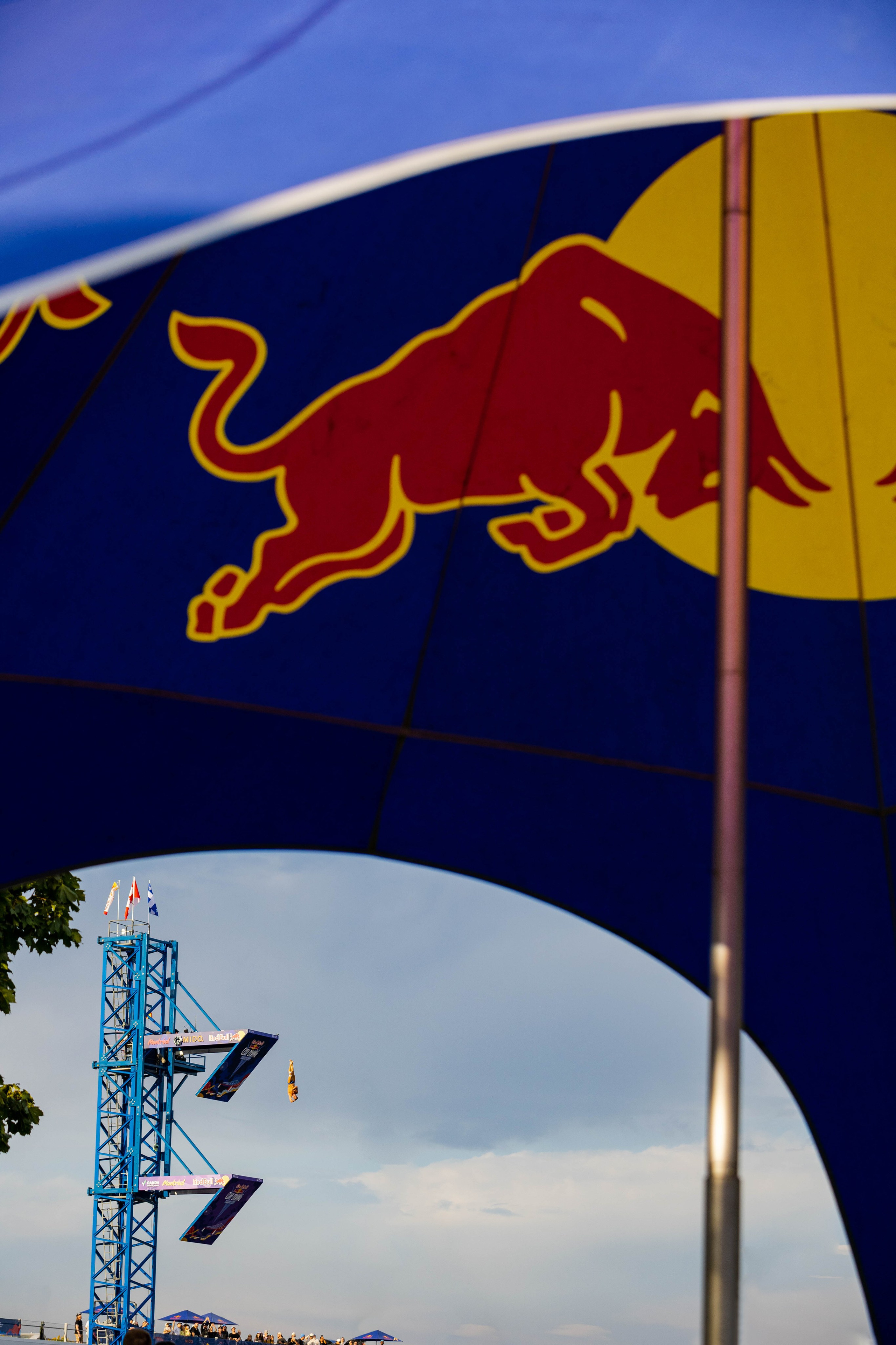 REDBULL DIVE MONTREAL