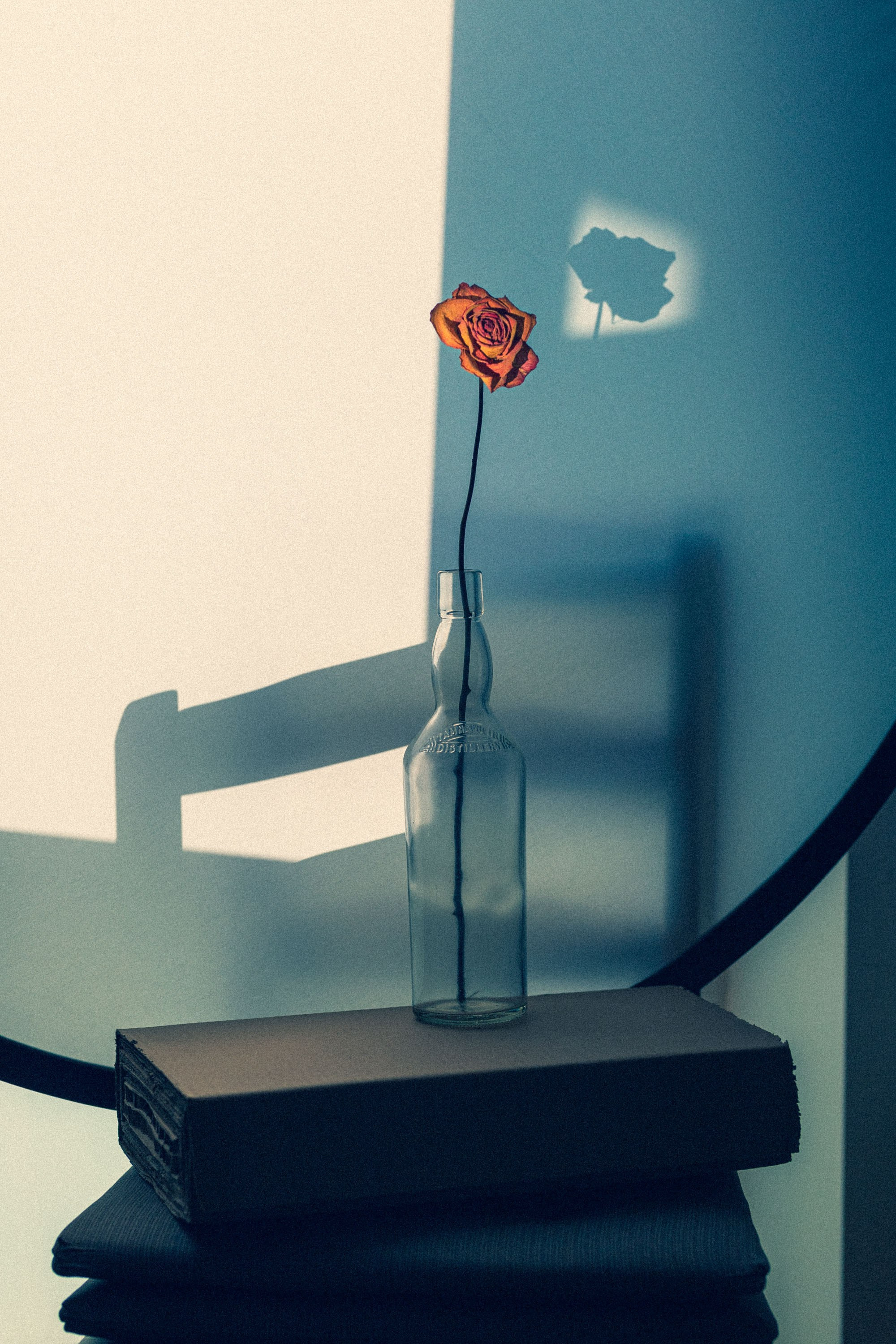 Marina Tsaregorodtseva photographer  still life 