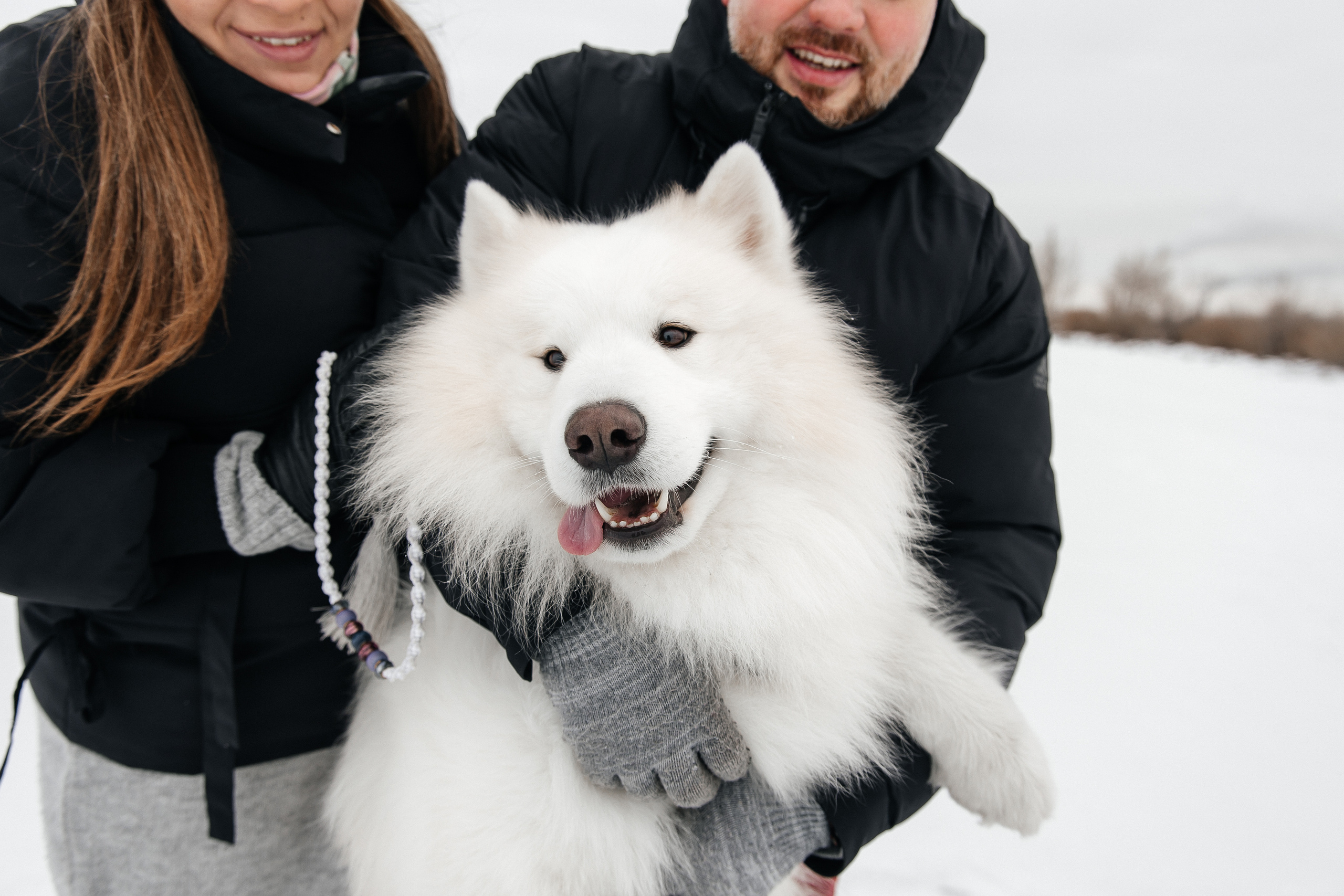 Familienshooting. Svetlana Vidru Fotograf aus Speyer und Germersheim