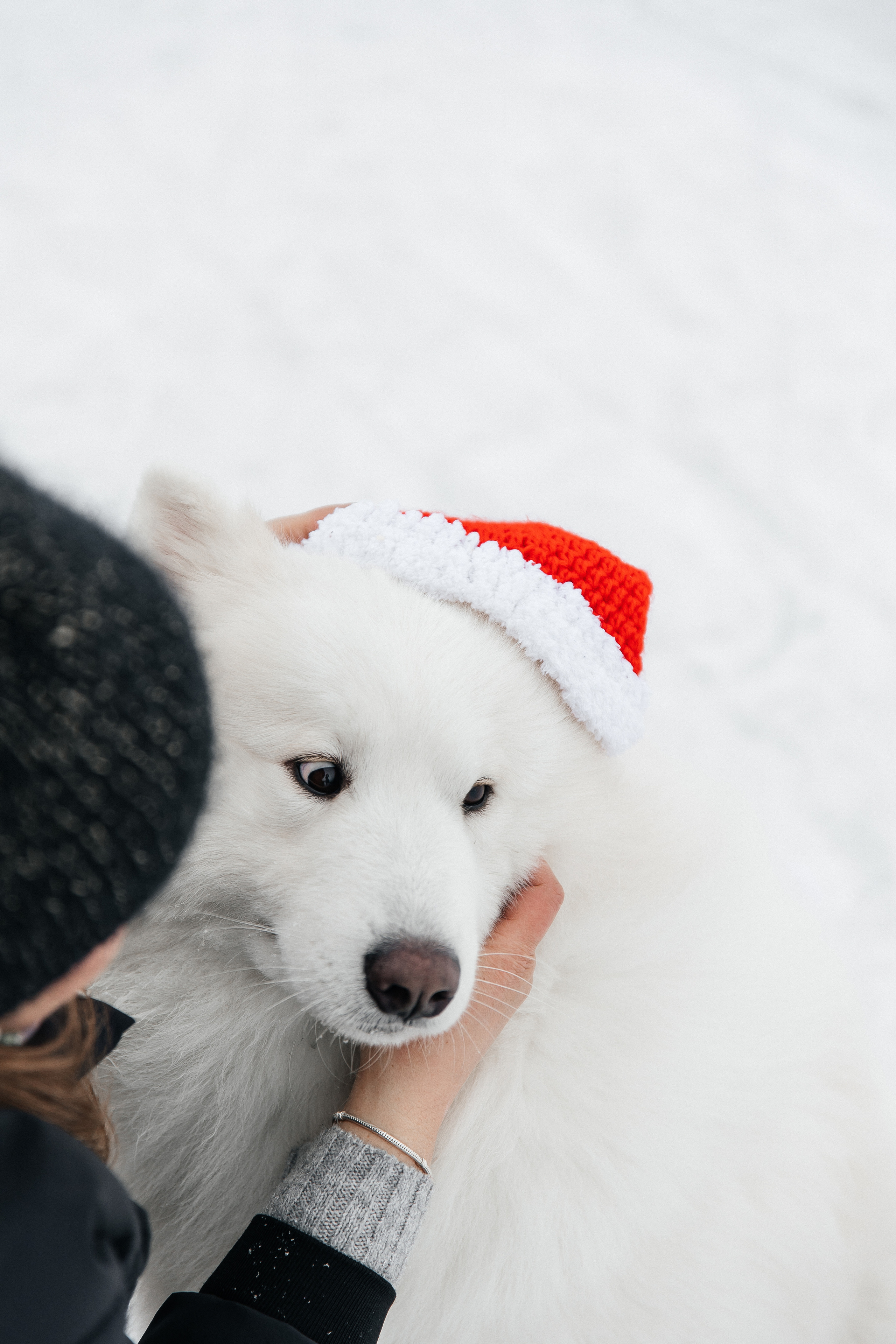 Familienshooting. Svetlana Vidru Fotograf aus Speyer und Germersheim
