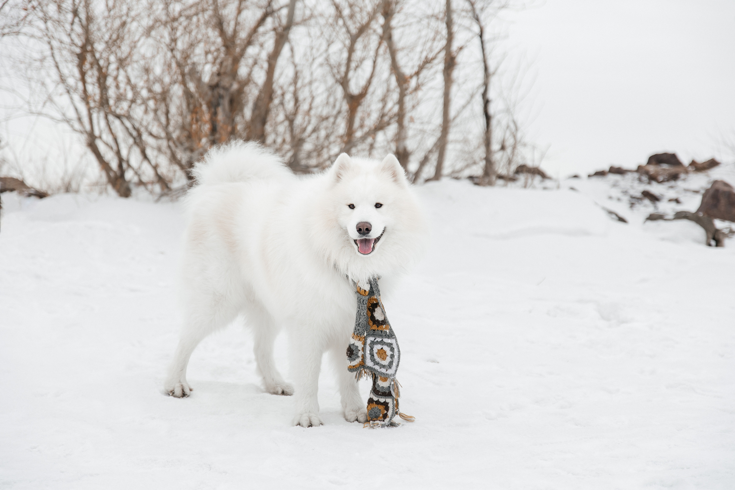 Familienshooting. Svetlana Vidru Fotograf aus Speyer und Germersheim