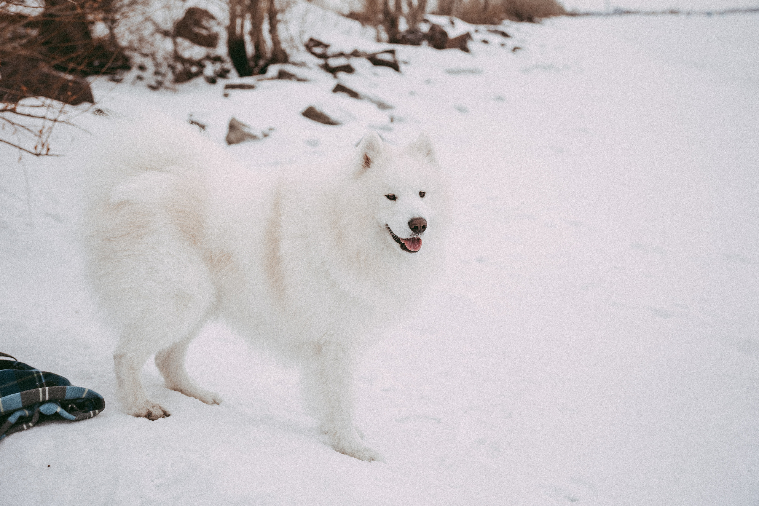 Familienshooting. Svetlana Vidru Fotograf aus Speyer und Germersheim