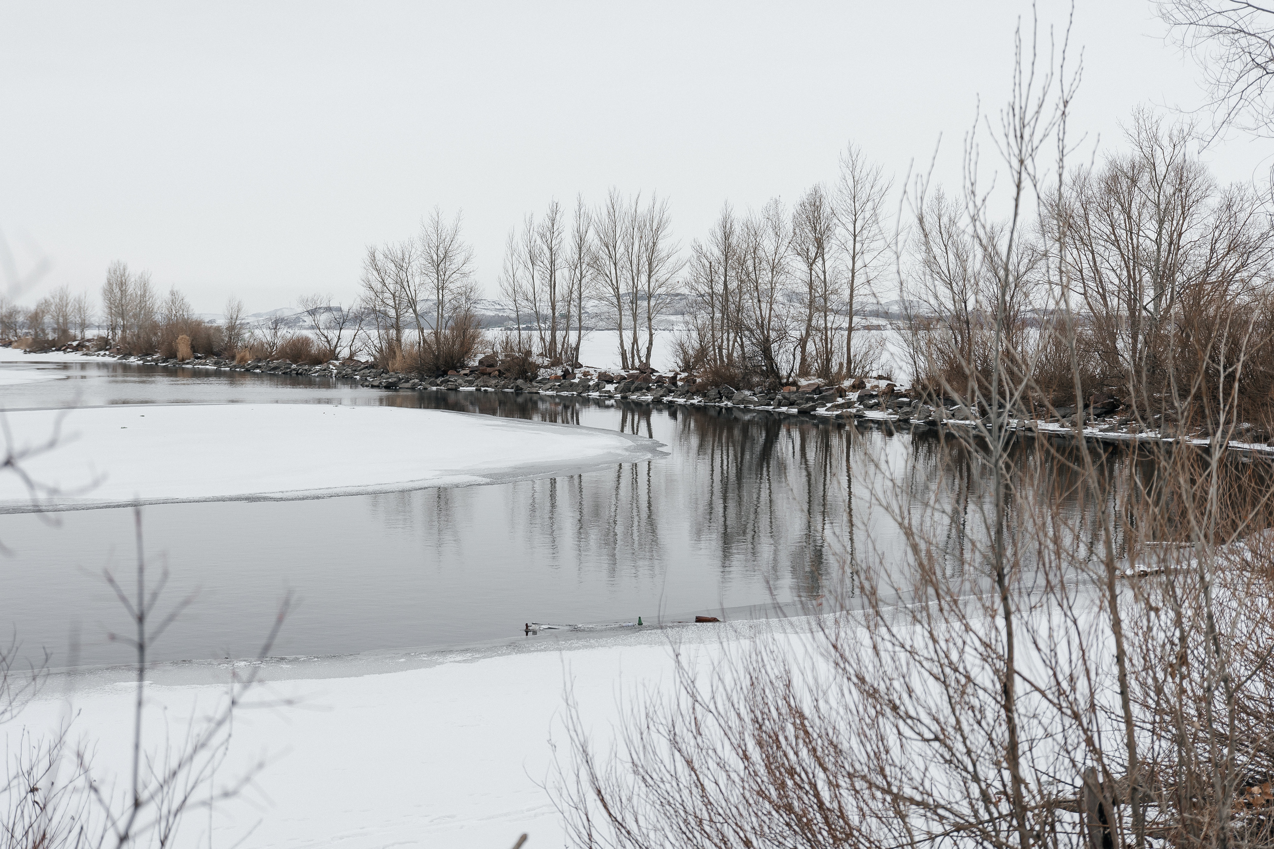 Familienshooting. Svetlana Vidru Fotograf aus Speyer und Germersheim