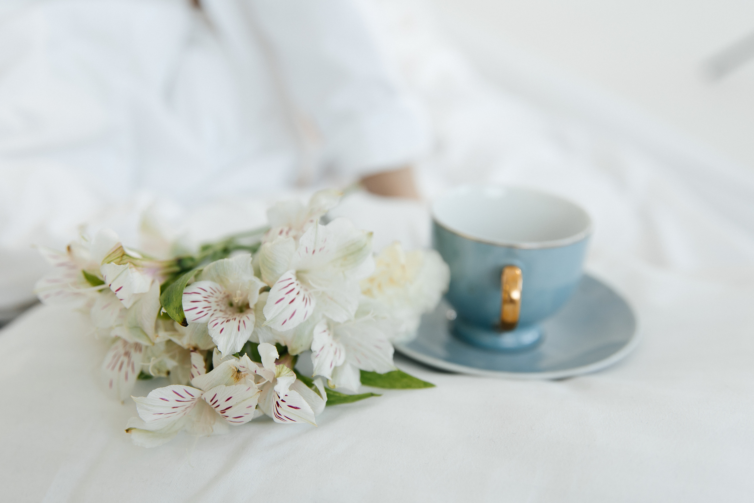 Ksenia. Svetlana Vidru Fotograf aus Speyer und Germersheim