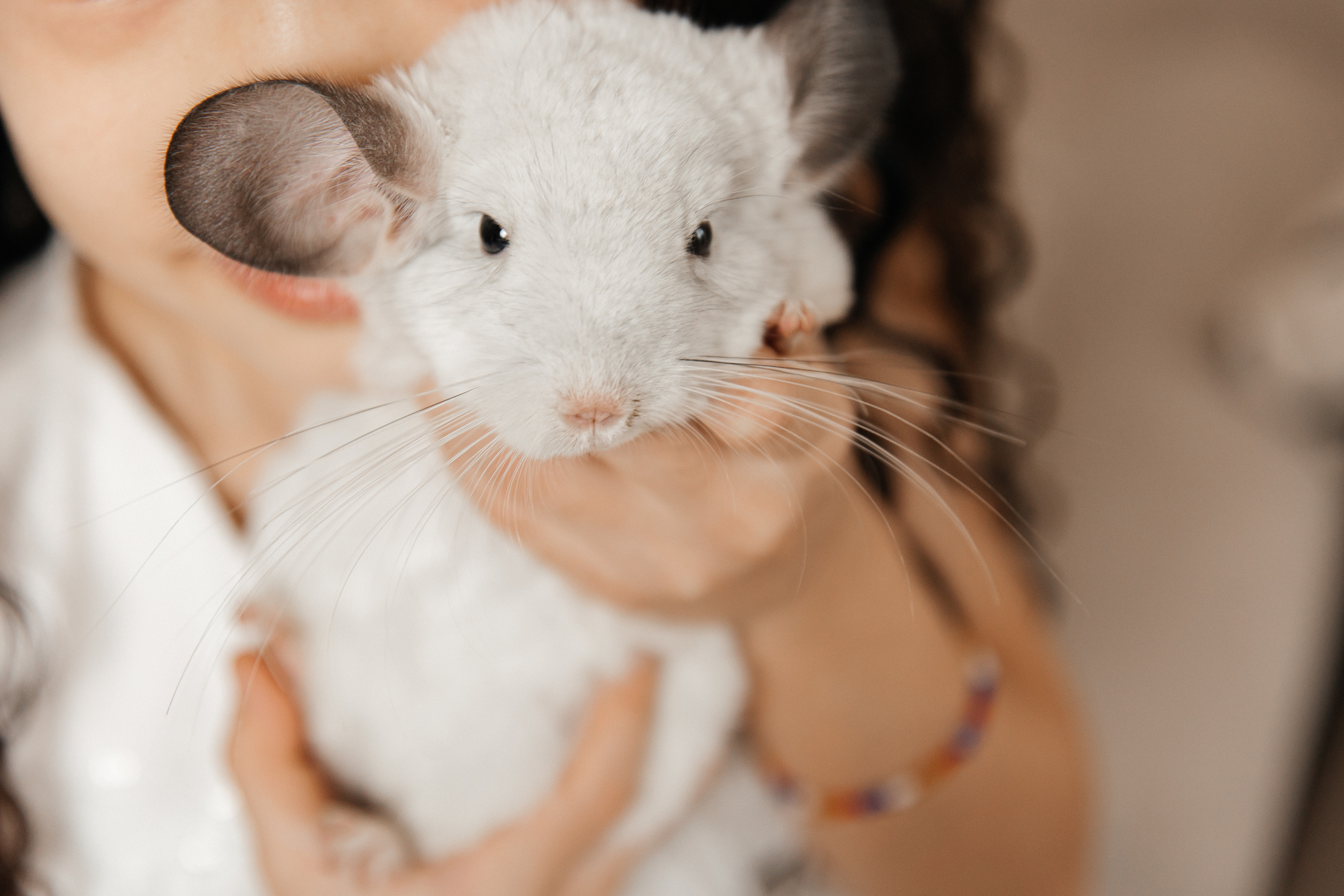 Familienshooting. Svetlana Vidru Fotograf aus Speyer und Germersheim