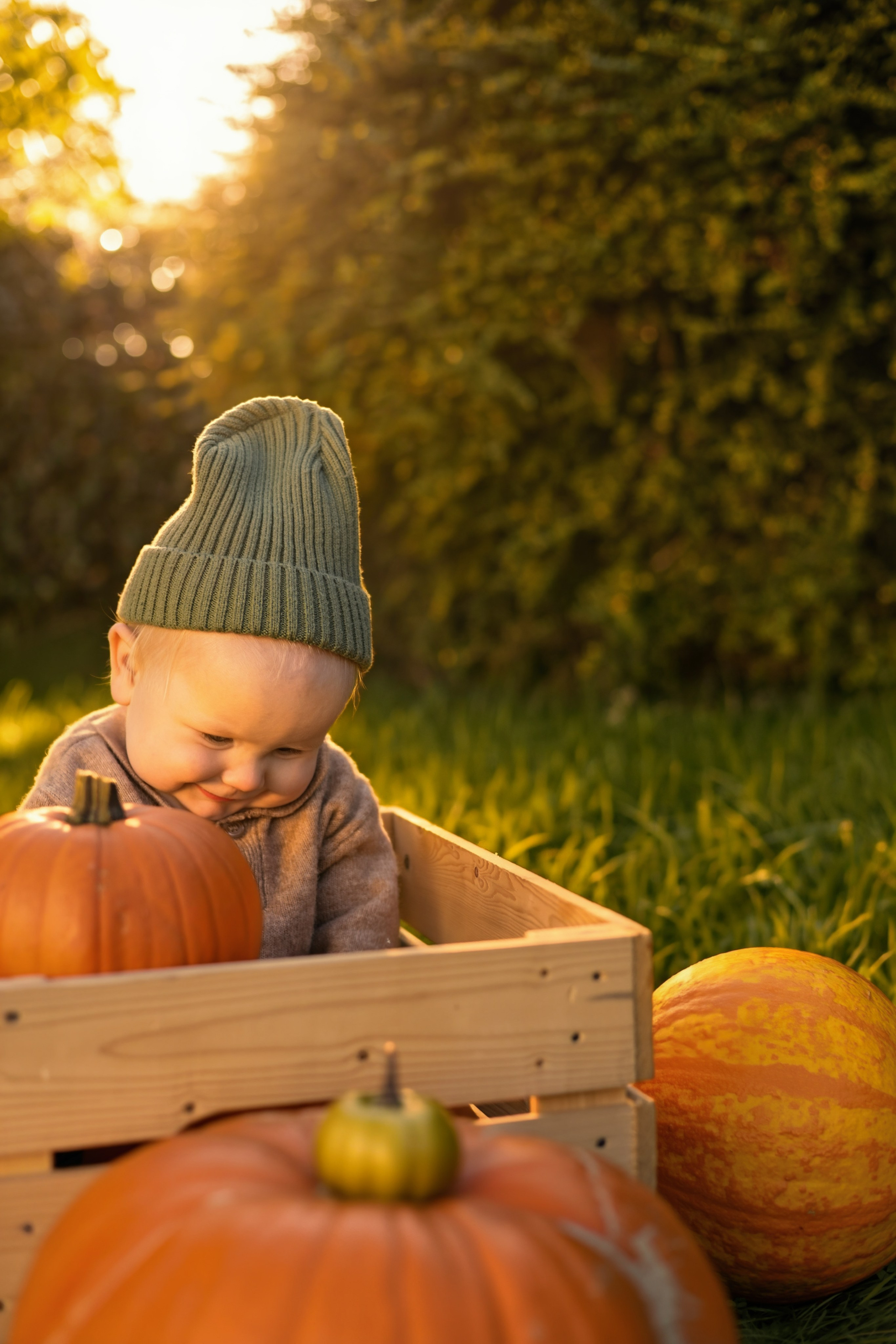 Leo’s First Autumn. Photographer Margarita Antonova in Naas, Co Kildare