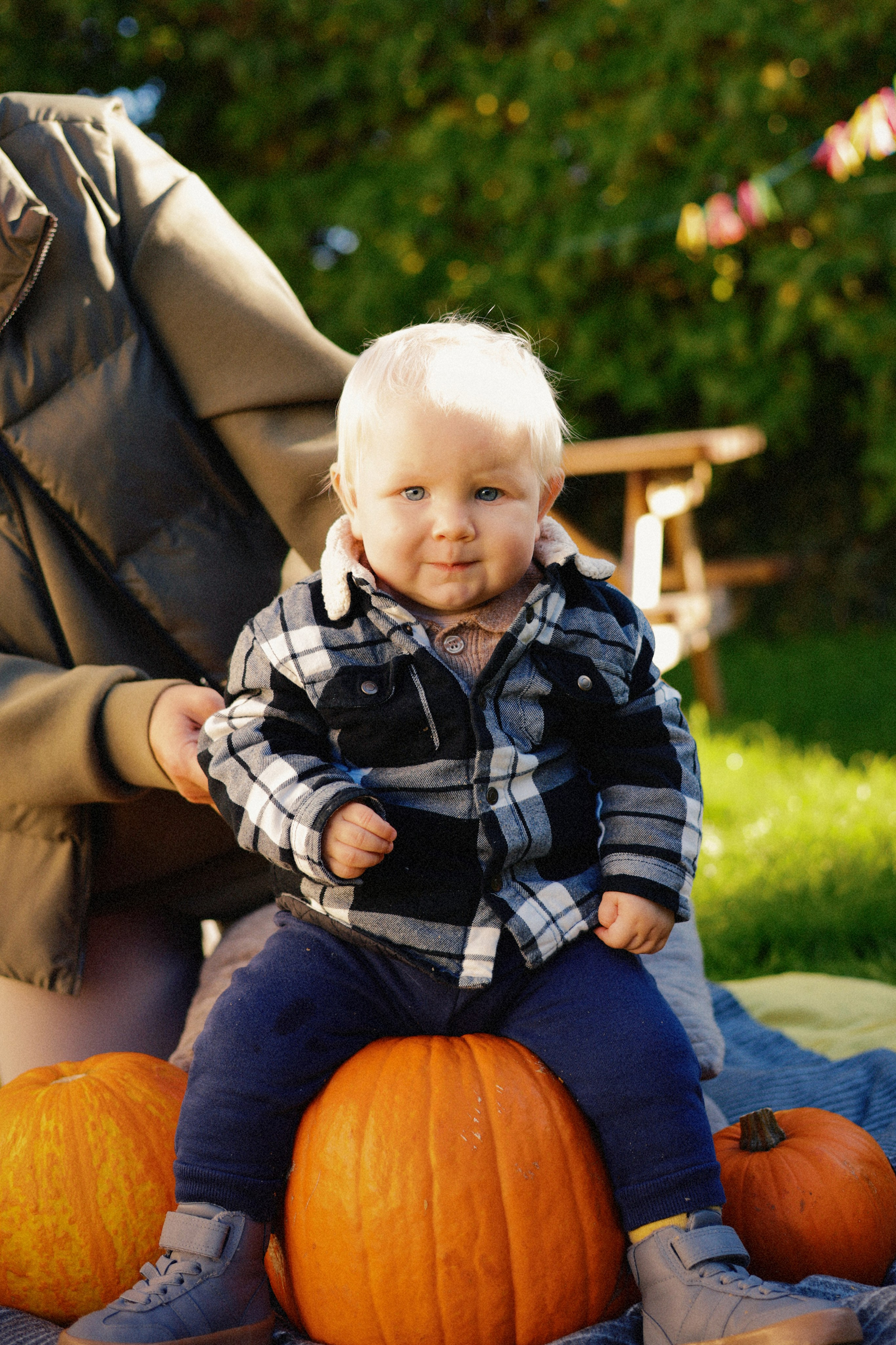 Leo’s First Autumn. Photographer Margarita Antonova in Naas, Co Kildare
